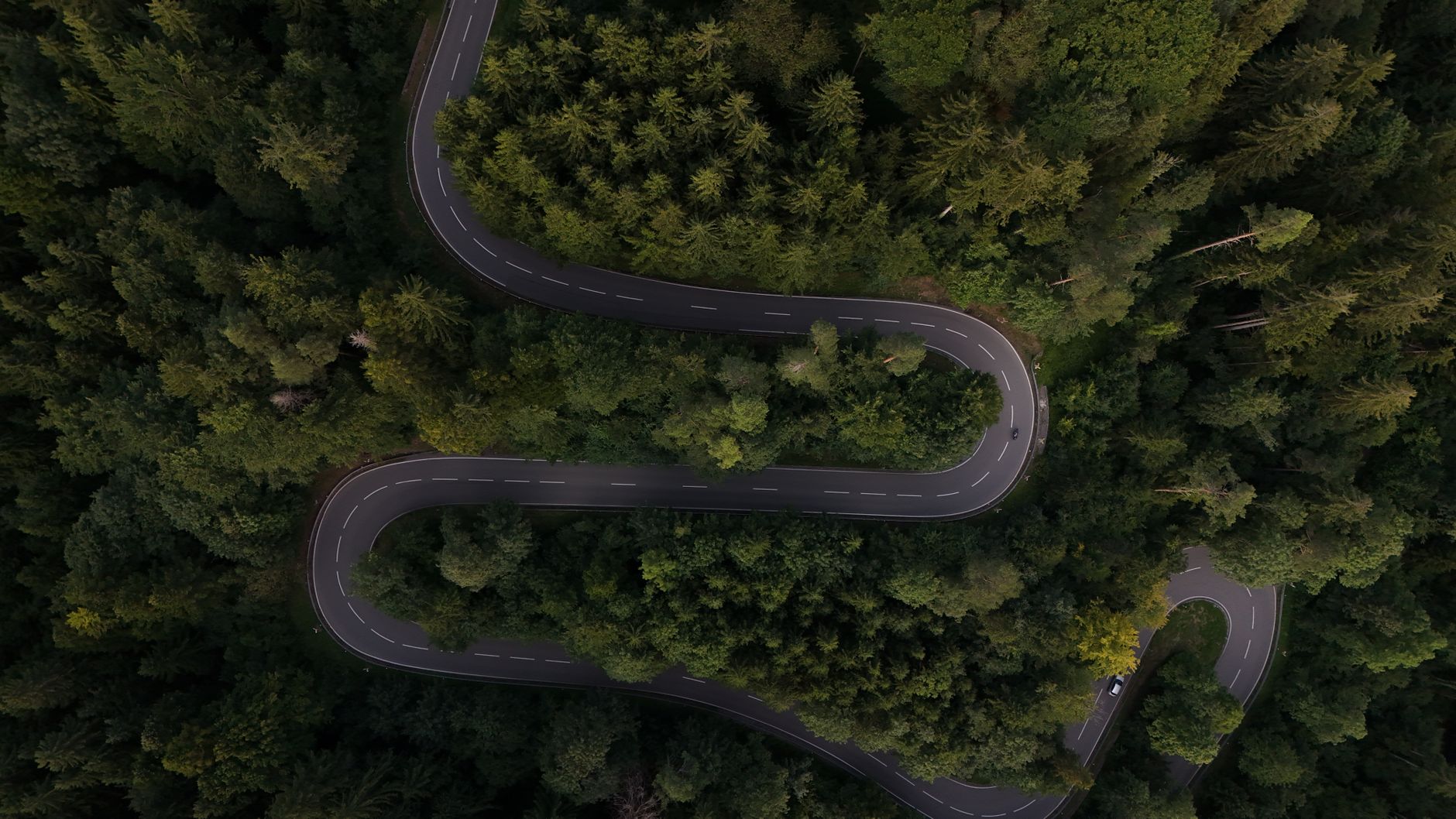 Metal Bending Radius: How to Calculate and Avoid Cracks插图 Aerial shot of a winding road cutting through dense, green forest.