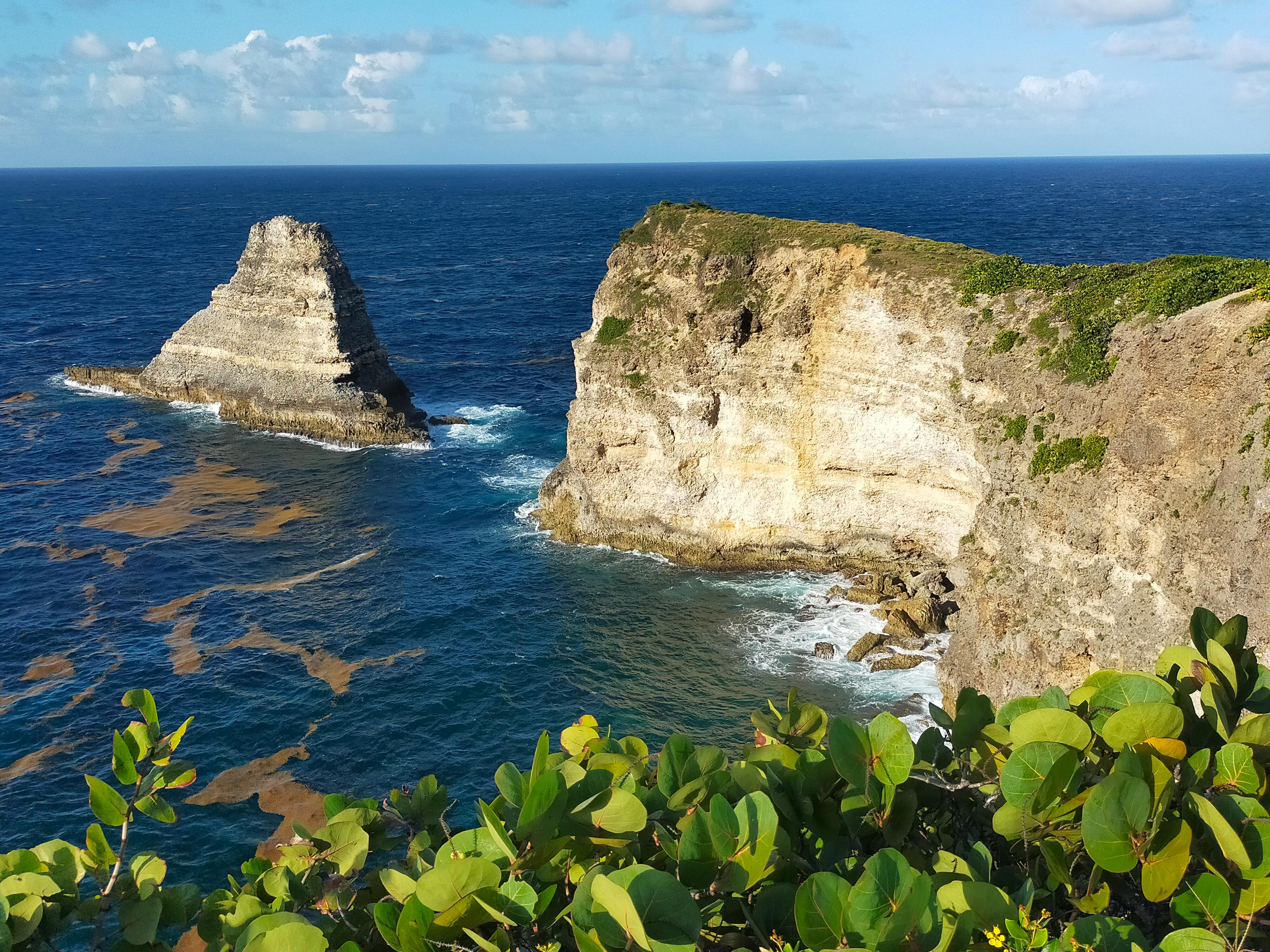 Why Visit Dominica in Dominica