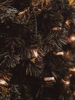 一棵明亮的圣诞树特写镜头，上面挂着发光的串灯