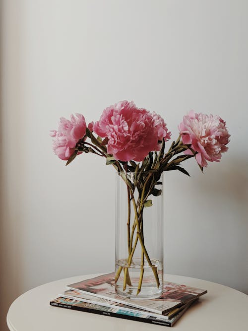 무료 유리 꽃병에 핑크 꽃 스톡 사진
