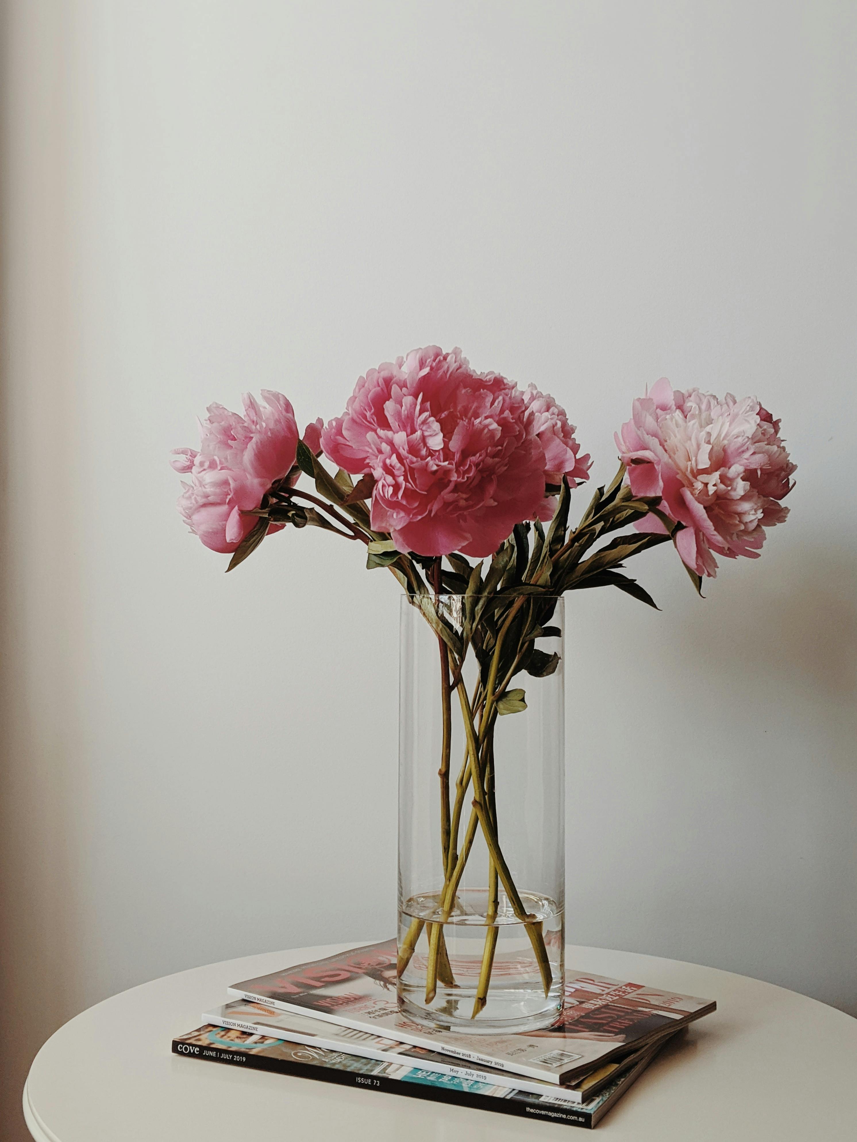 Pink Flowers in Glass Vase · Free Stock Photo