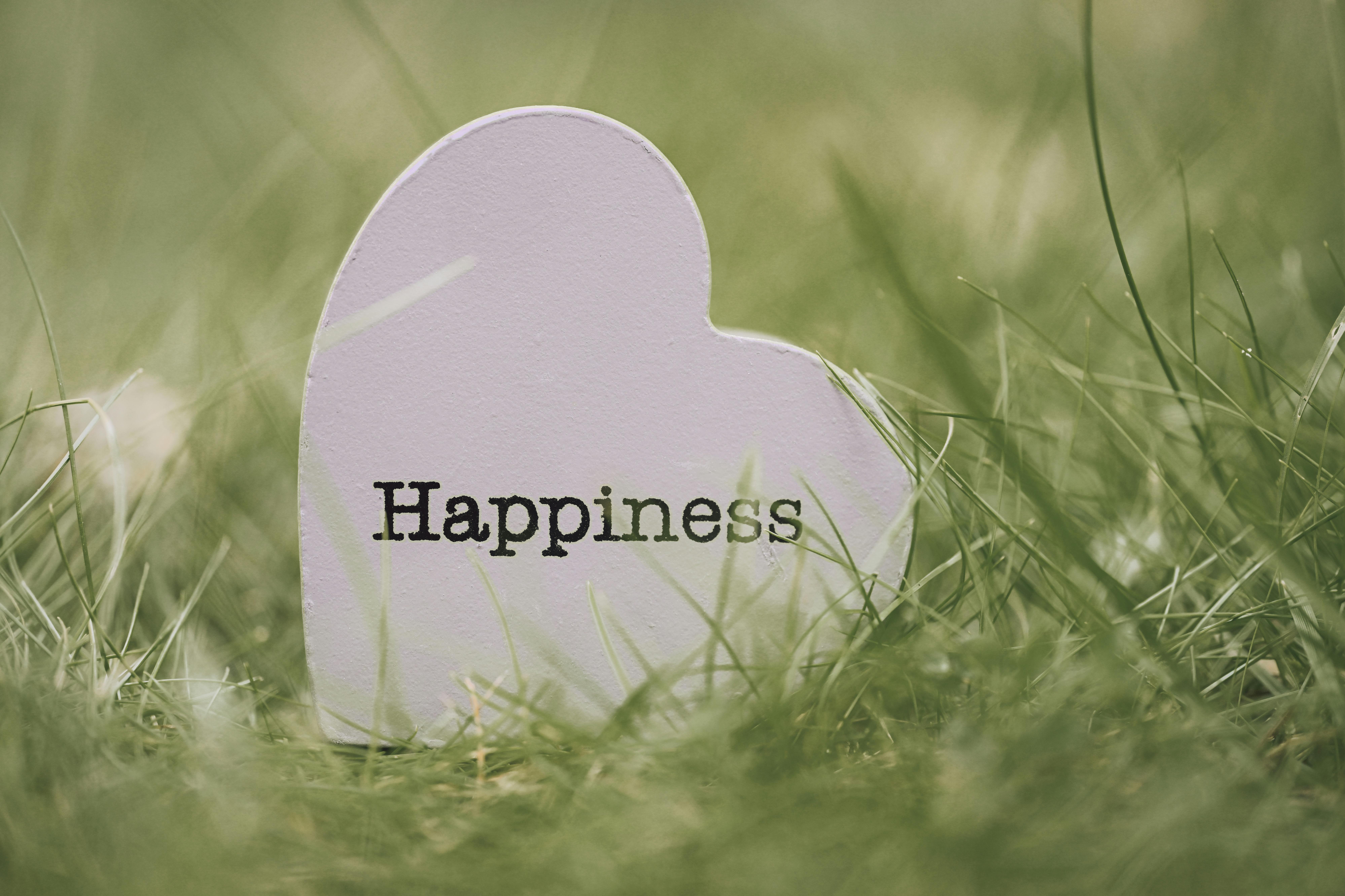 A heart-shaped sign with 'Happiness' text nestled among green grass, symbolizing joy and encouragement.