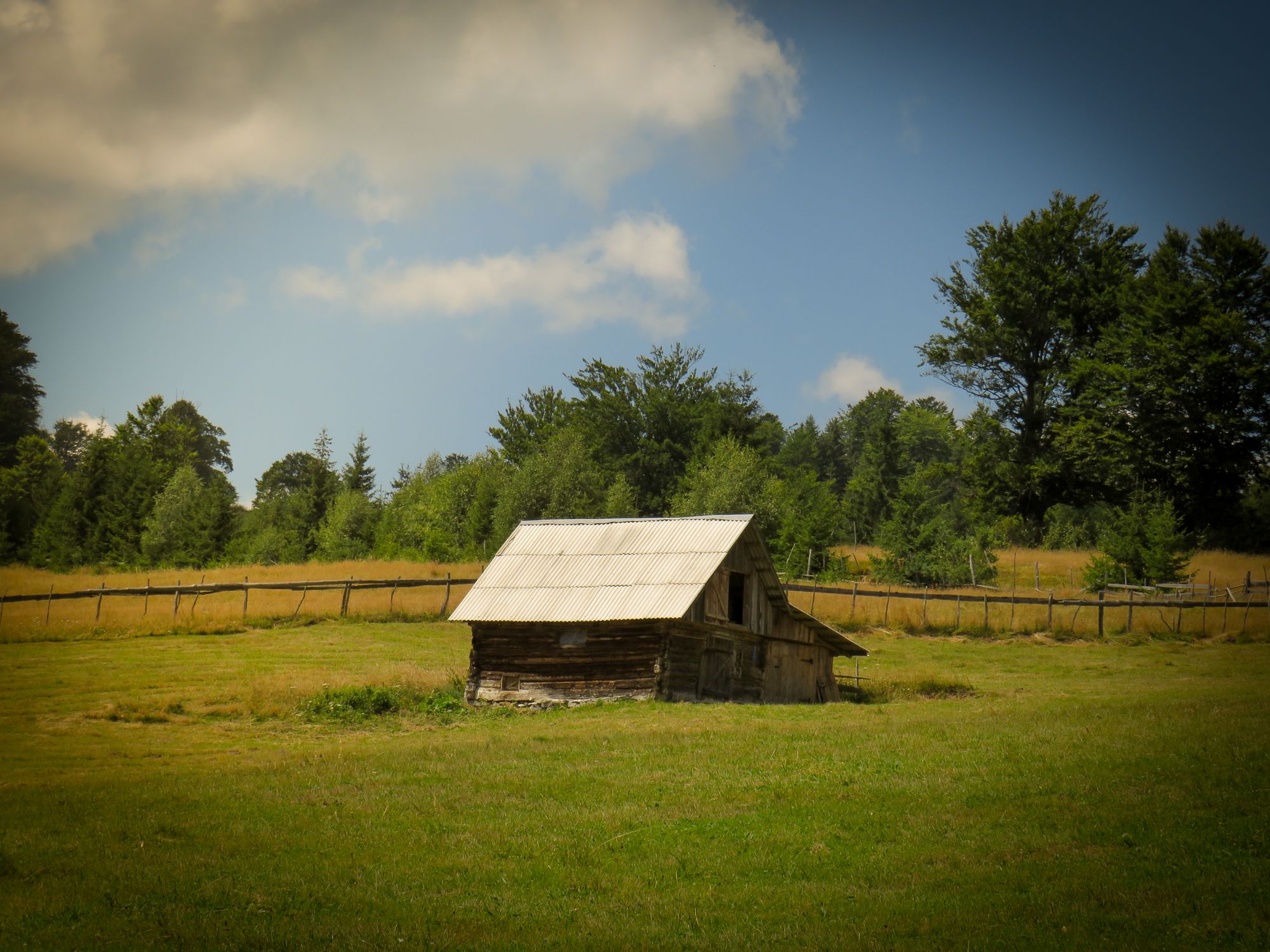 Rustic Wooden Shack in Sunny Countryside · Free Stock Photo