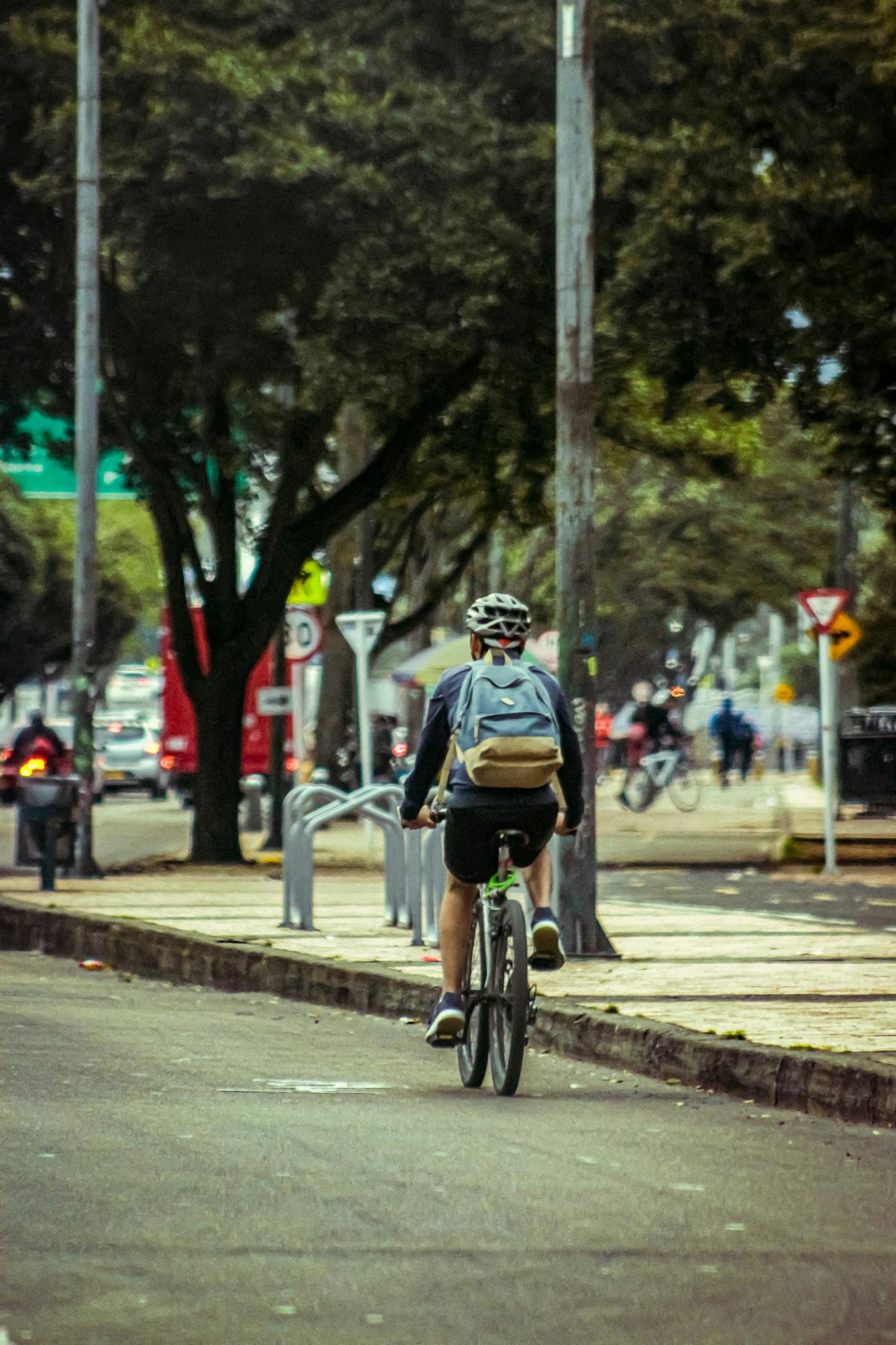Ciclista che percorre una pista ciclabile urbana affiancata da alberi