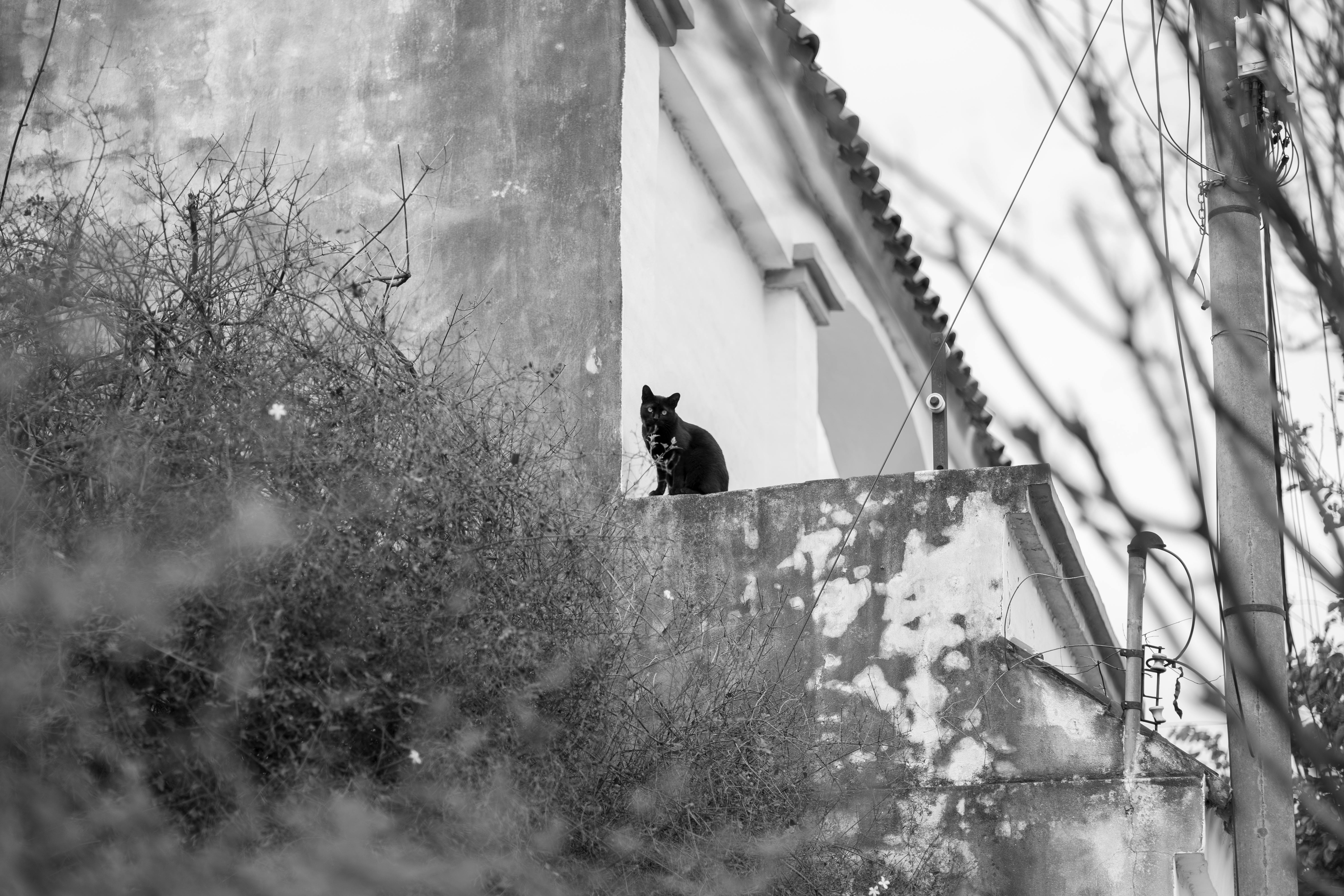 The Surprising Link Between Color Choice and Retention