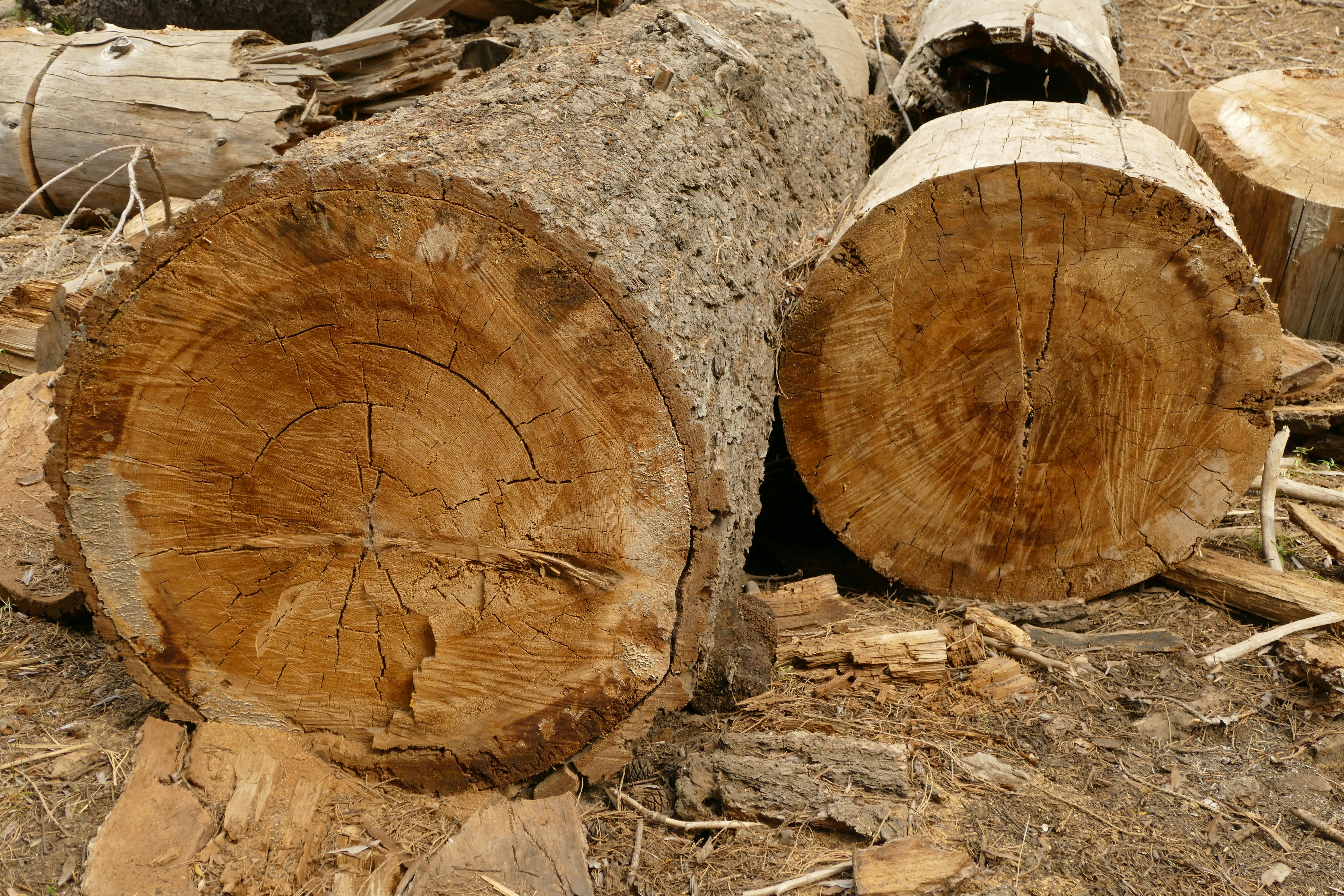 元大證券2025員工家庭日 推動無塑生活與低碳未來