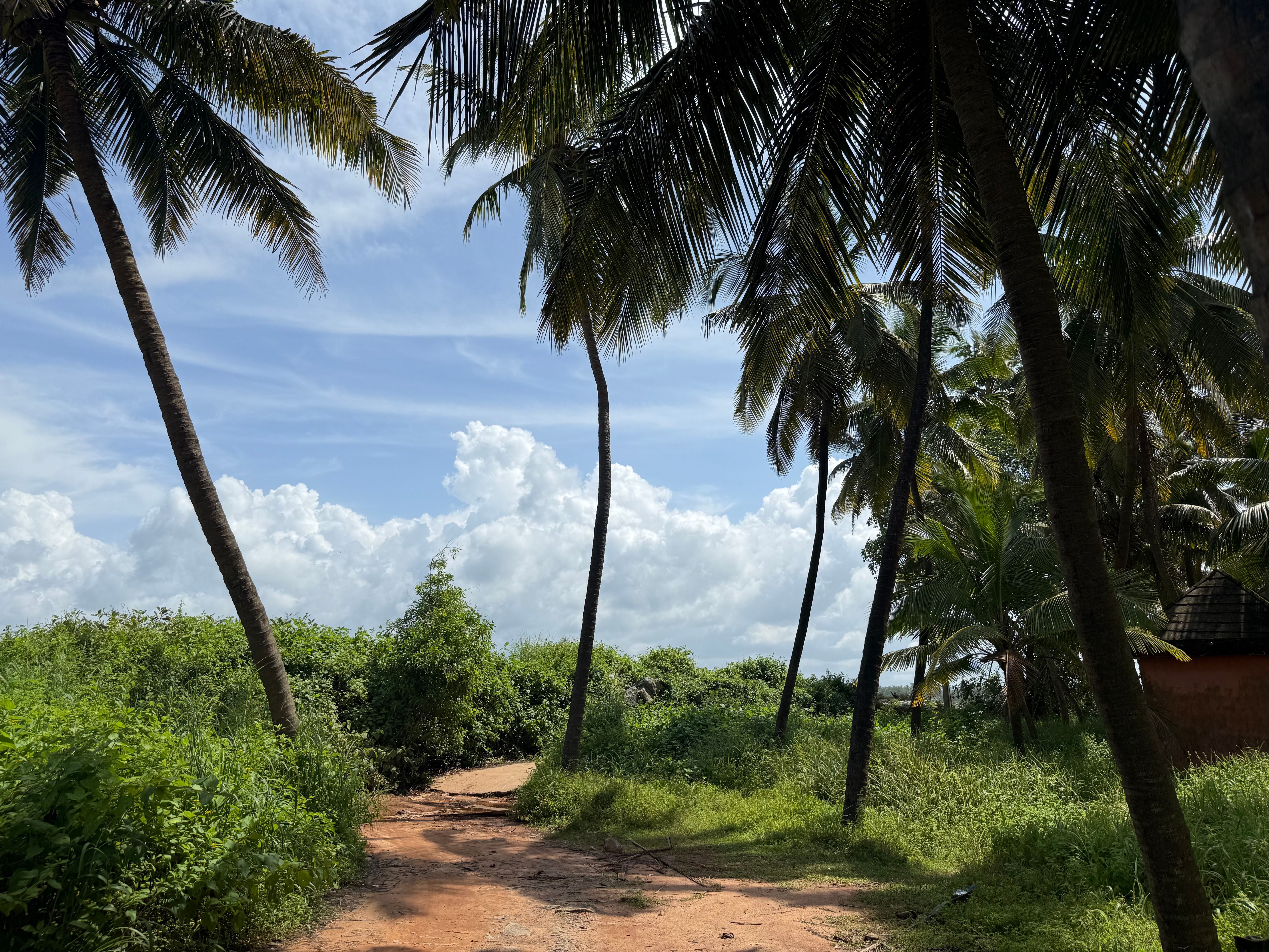 micro niche travel, off‑the‑beaten‑path trips, specialty tourism, niche adventure travel, hidden travel gems, boutique travel