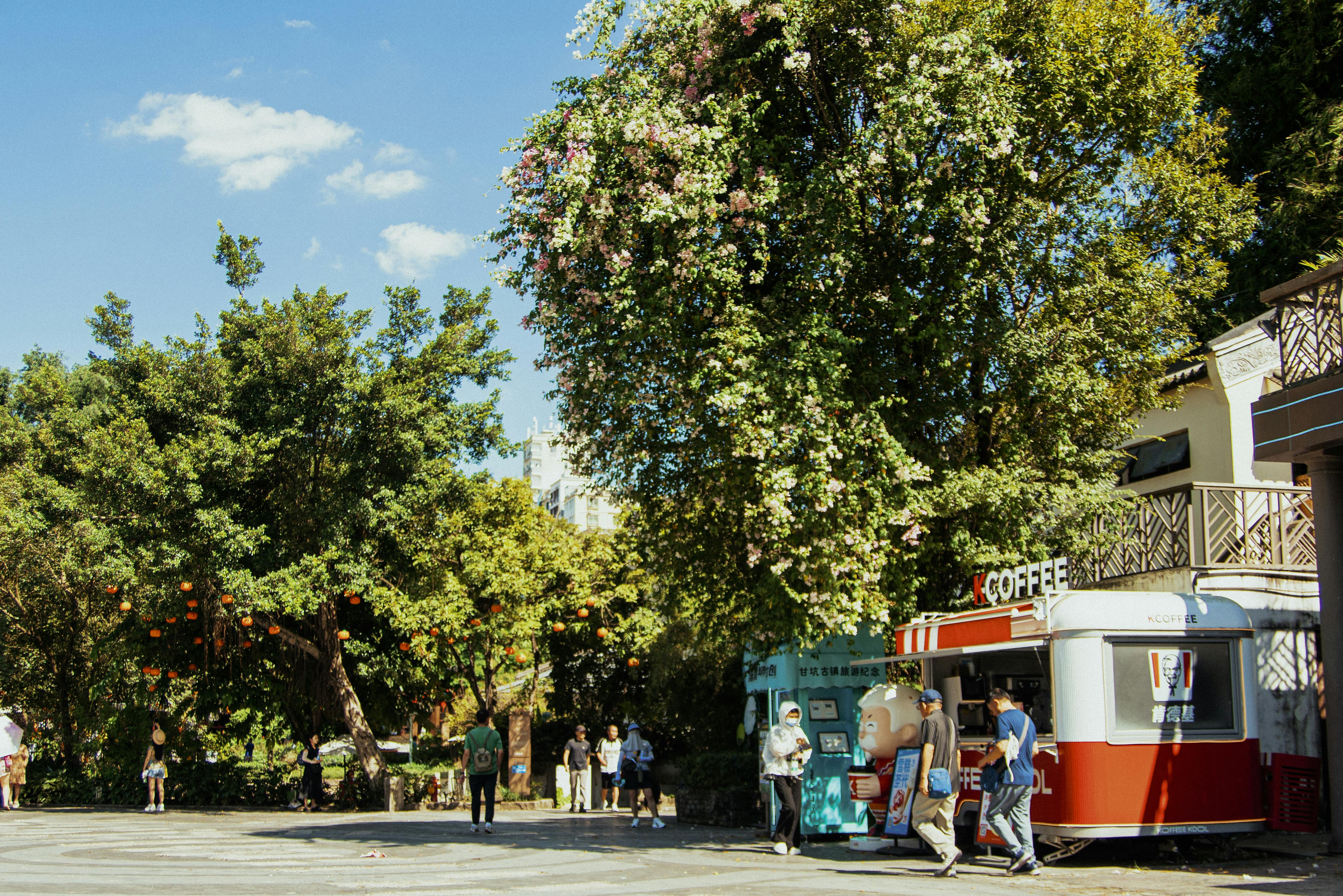 生活：認識巨石強森的妻子與母親：家庭背後的溫暖力量