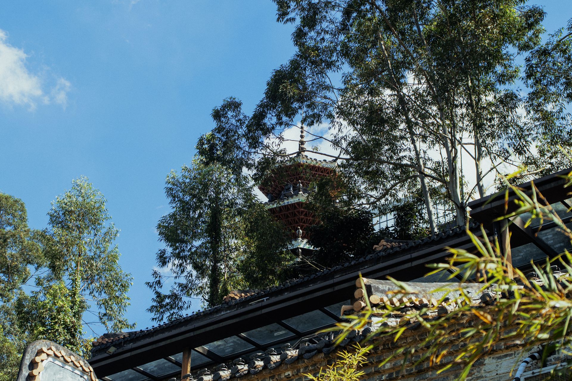 A traditional pagoda nestled among tall trees under a clear blue sky.