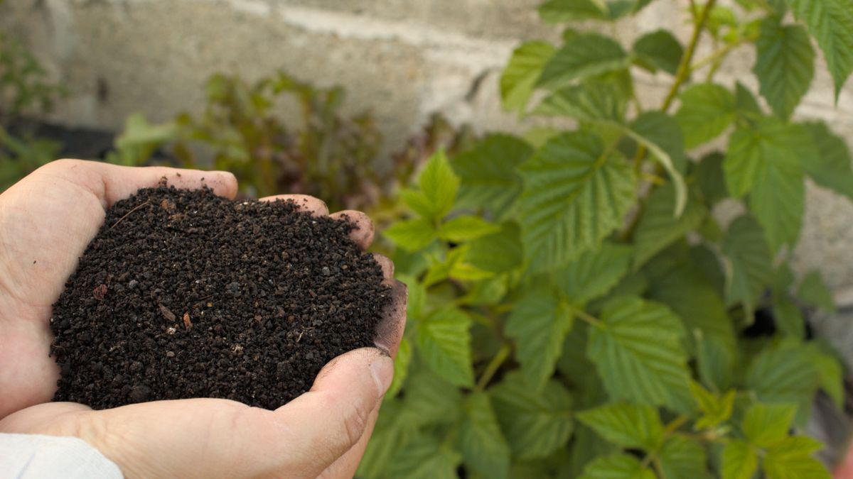 Les meilleures techniques de compostage pour le potager dautomne à Angers - illustration