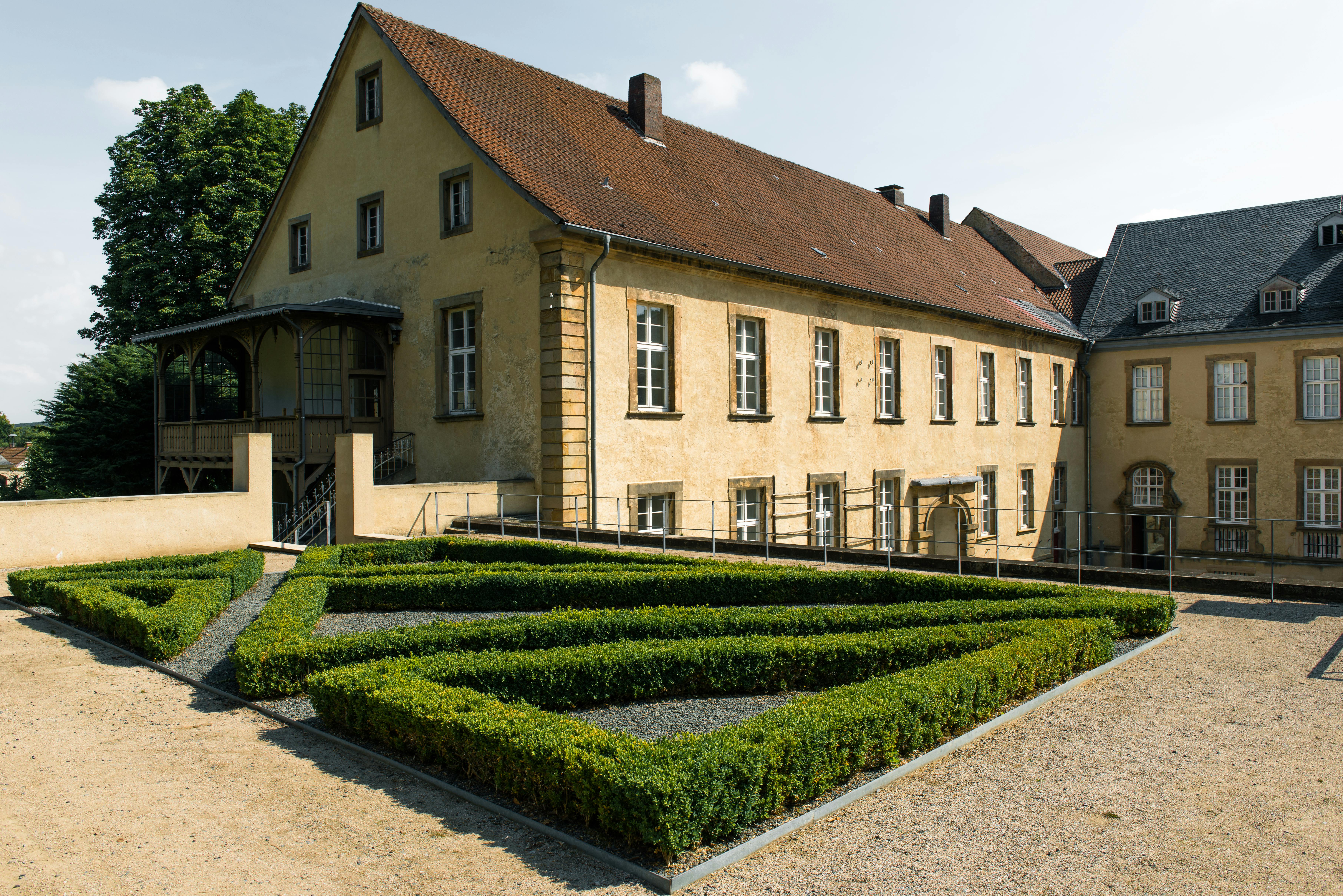 Viral Gardening Hacks to Transform Your Backyard