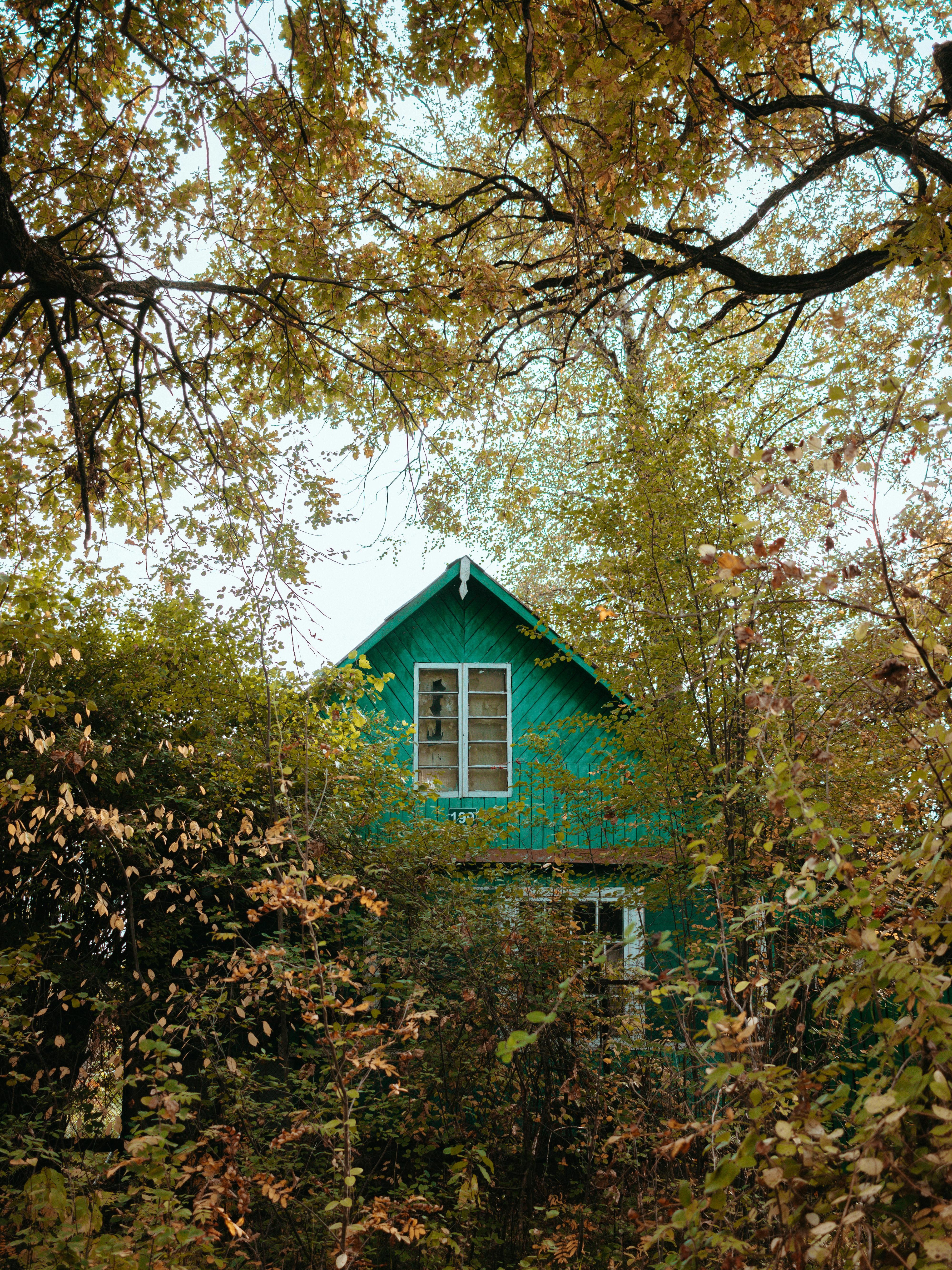 A quaint green cottage surrounded by autumn leaves, creating a tranquil outdoor scene.