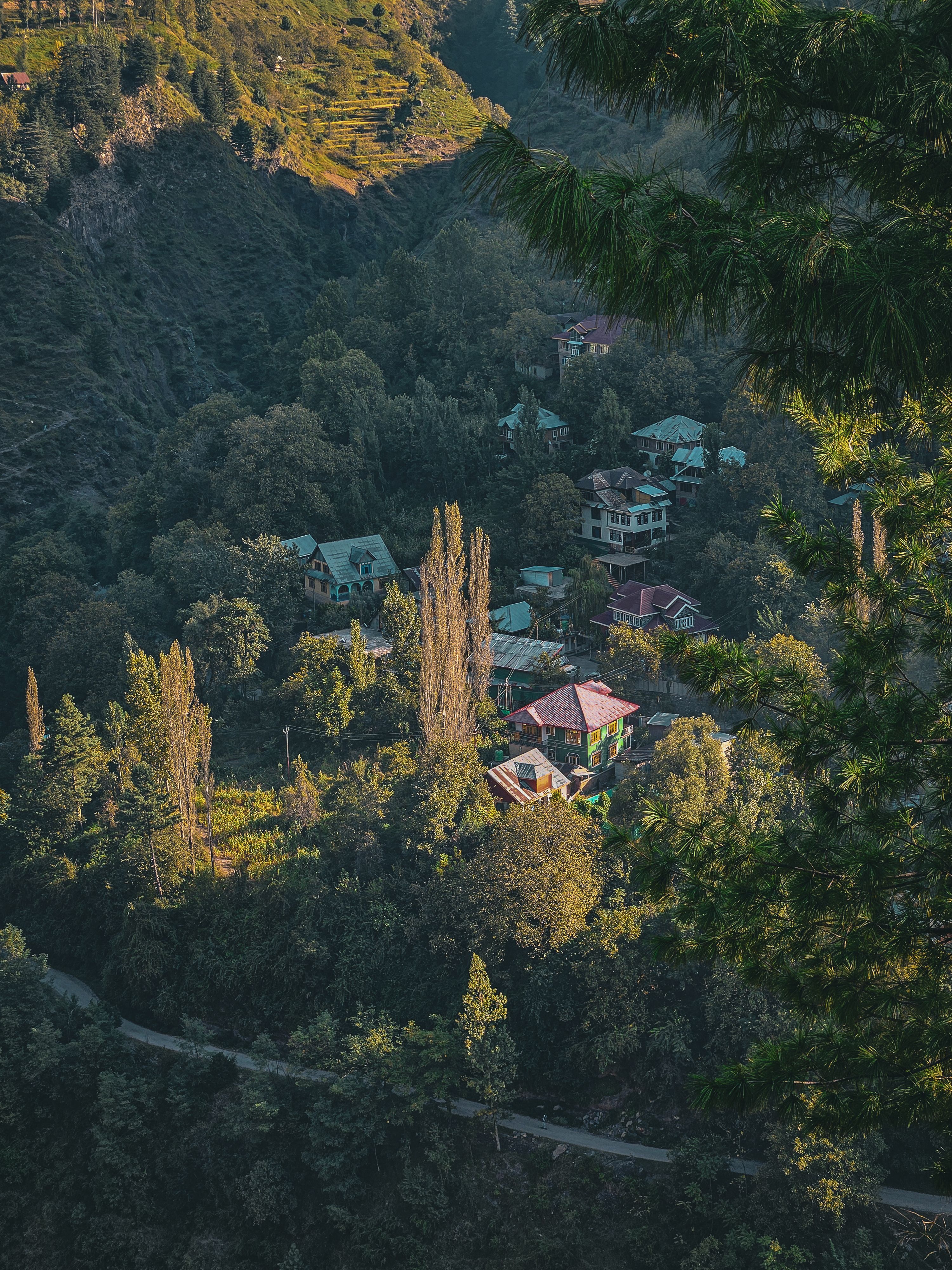 Aerial View of Idyllic Mountain Village in Forest · Free Stock Photo