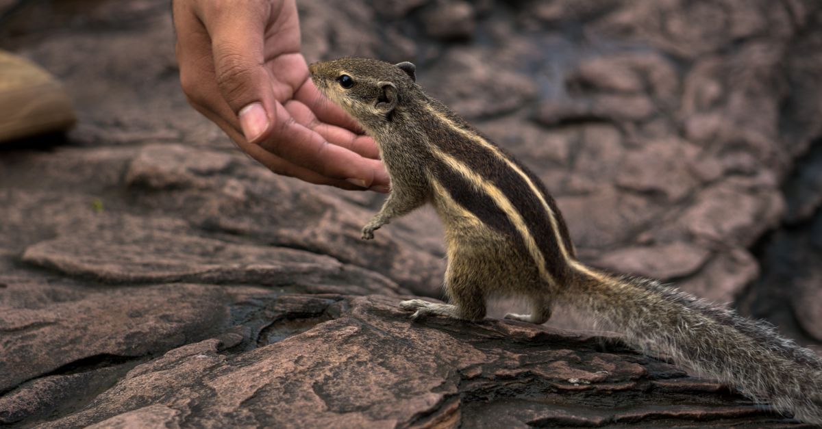 Asombro con Jennifer Holland