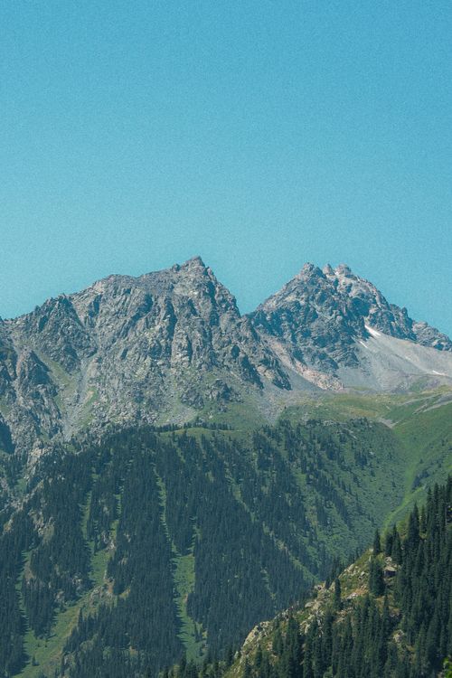 Free Breathtaking view of rugged mountain peaks with lush green forests. Stock Photo