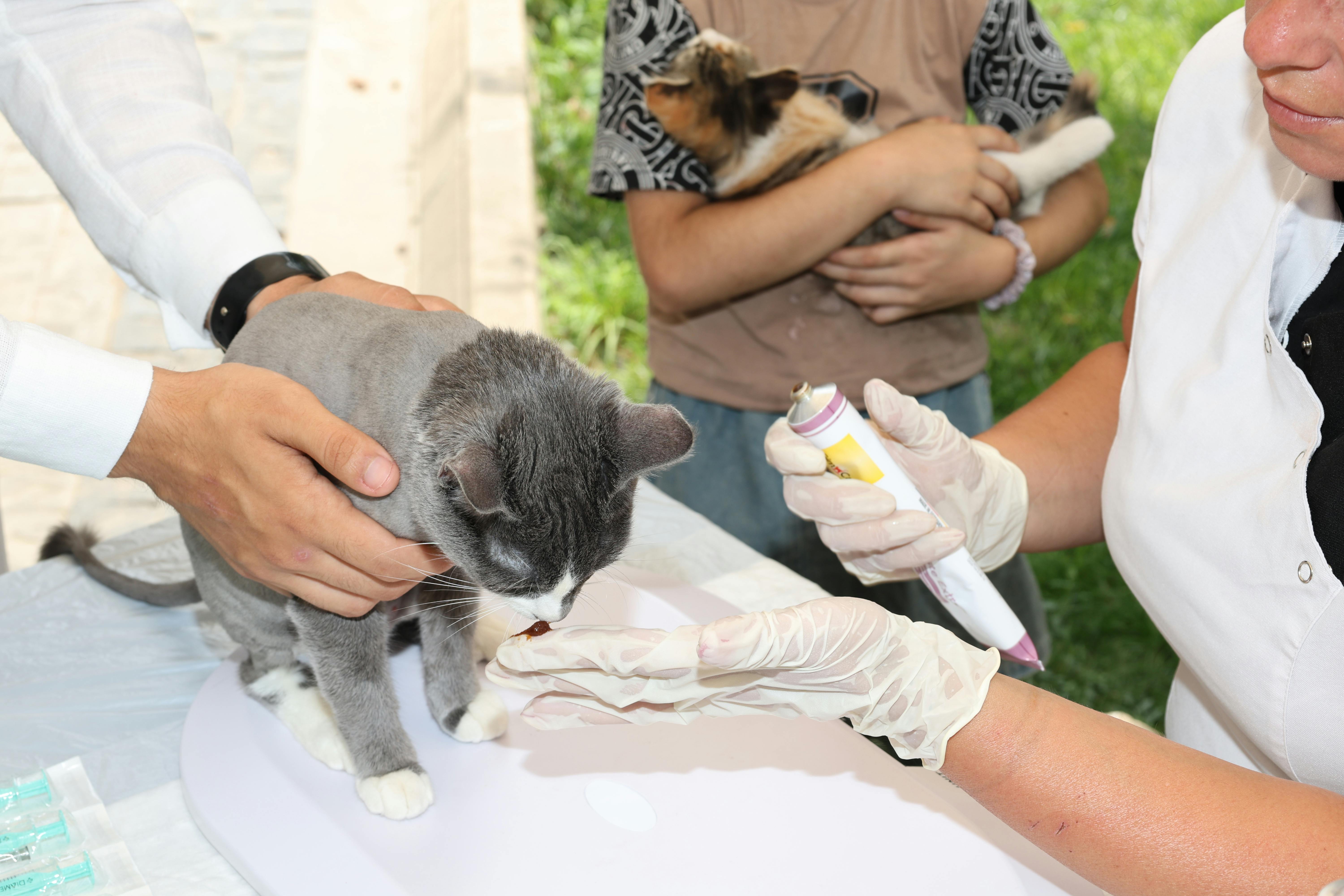 臺北國際軍陣醫學論壇 聚焦跨國交流與韌性提升