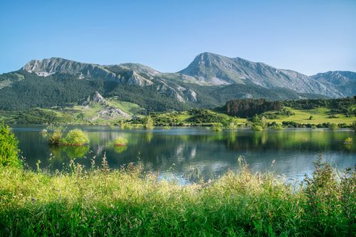 Free Peaceful mountain lake with lush greenery under clear blue sky. Stock Photo