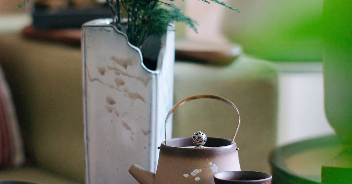 Calm indoor setting with tea set and greenery, perfect for relaxation.