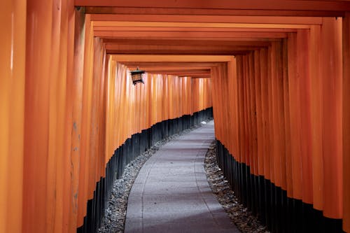Безкоштовне стокове фото на тему «shinto shrine, Перспектива, торії»