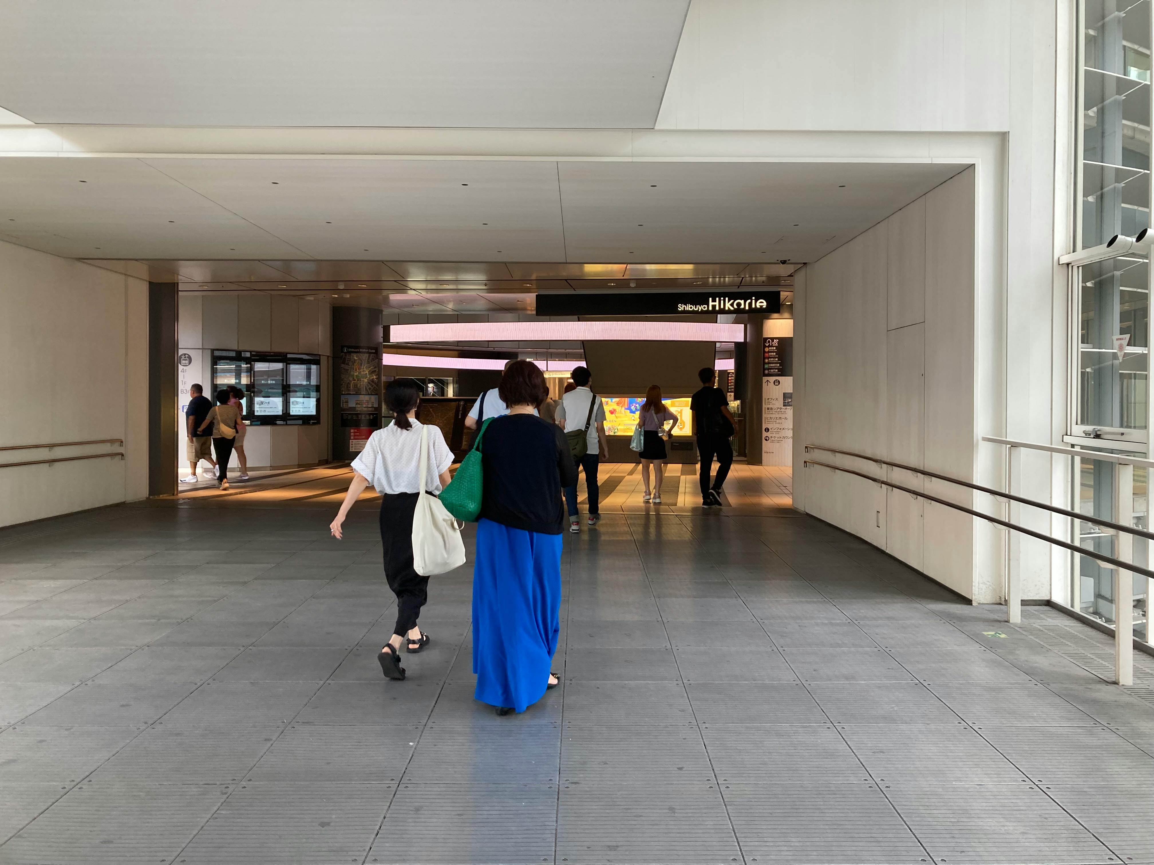 Permacultura Urbana: Diseño Sectorial y Sinergias Biológicas para Huertas Resilientes