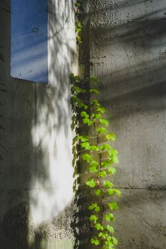 Farbenfrohes Minimalistische Komposition – Minimalistisch Hintergrundbild (von Nui MALAMA, 6328×9520, #33999708)