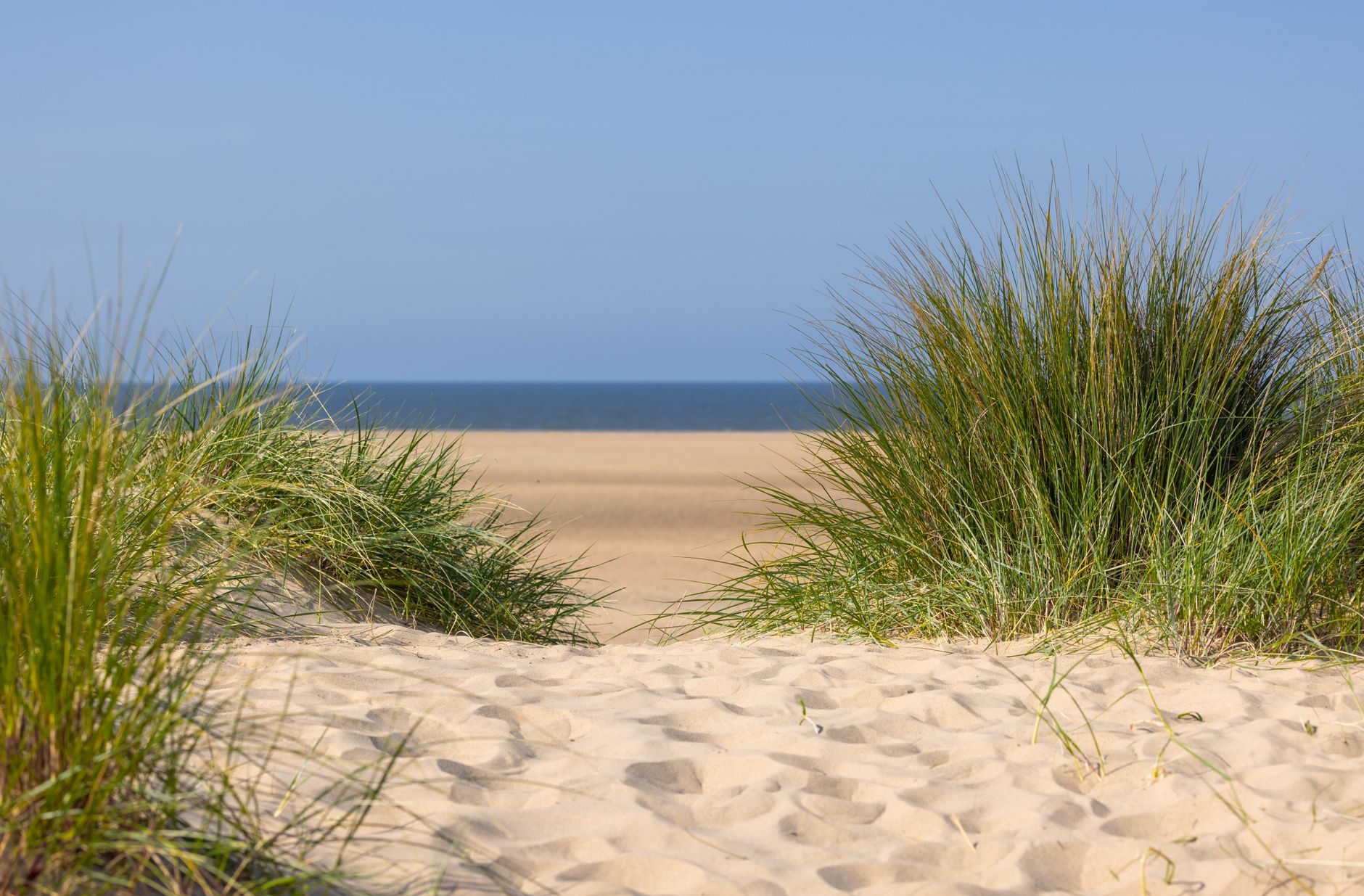 Tranquil view of an English beach with sand dunes and grasses under a clear blue sky.