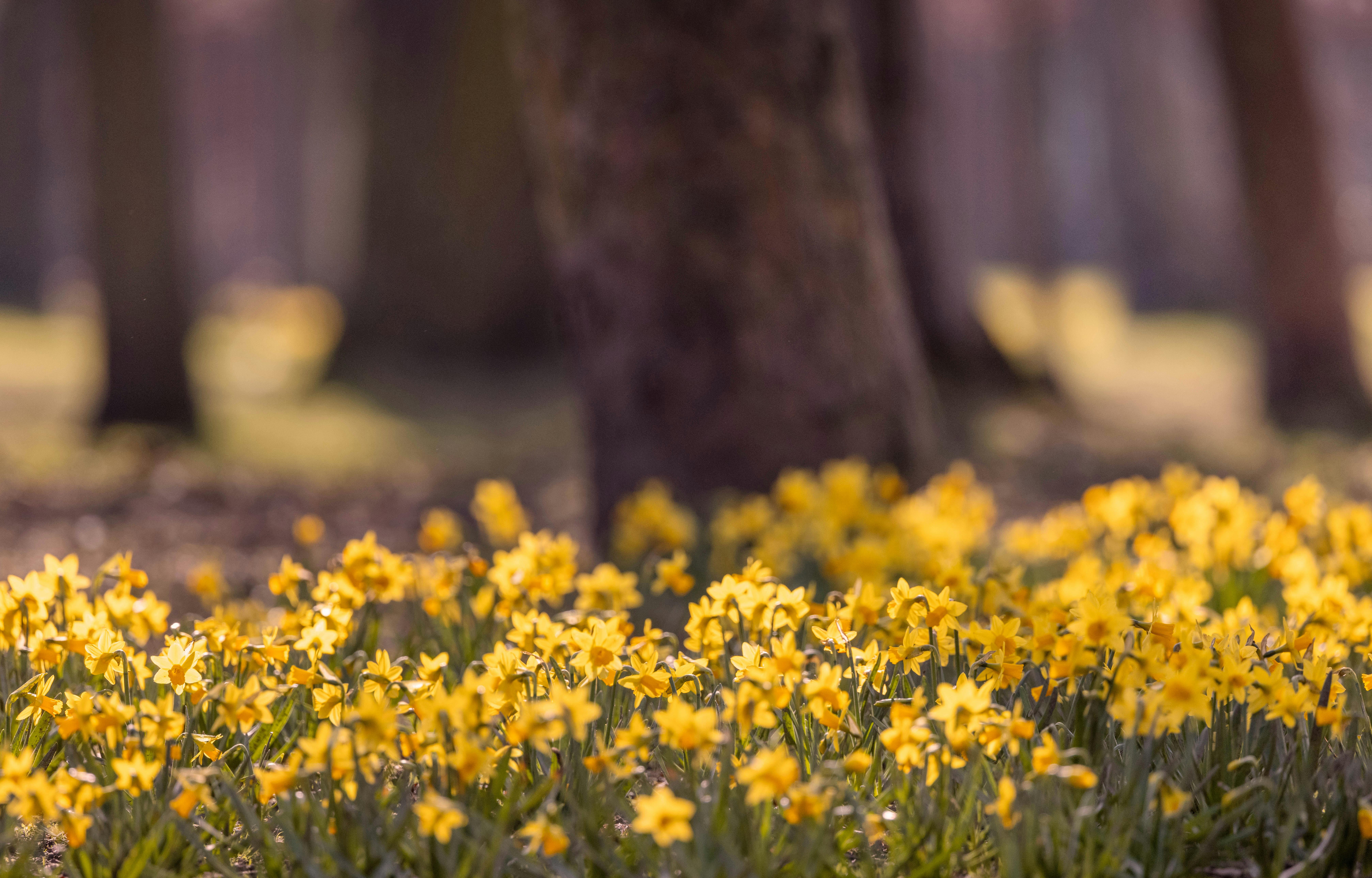 Eco-Friendly Beauty: Embracing Sustainable and Natural Skincare Practices