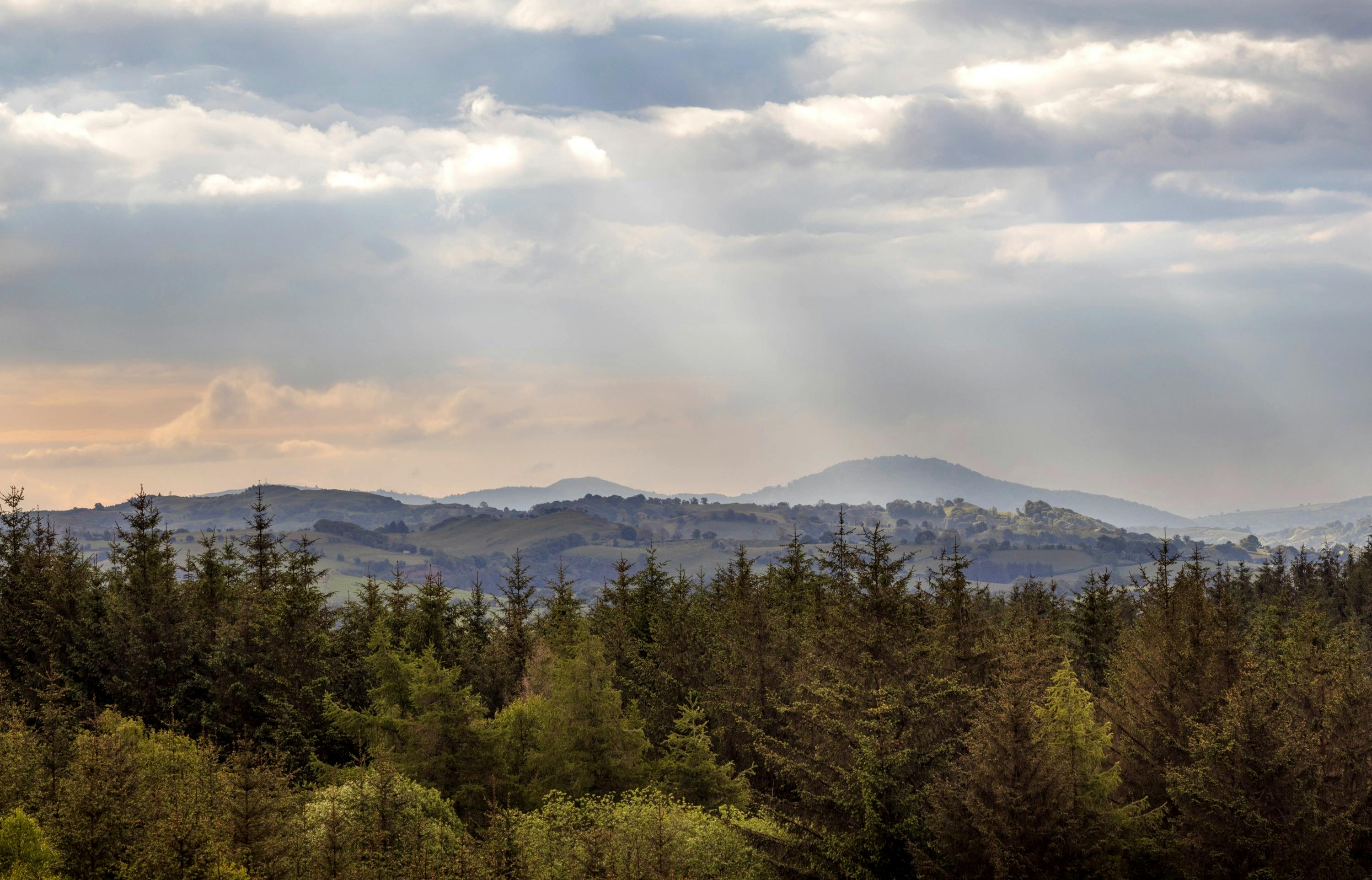 生活：策進會劍潭山步道健行淨山 與港澳朋友共享山林之美