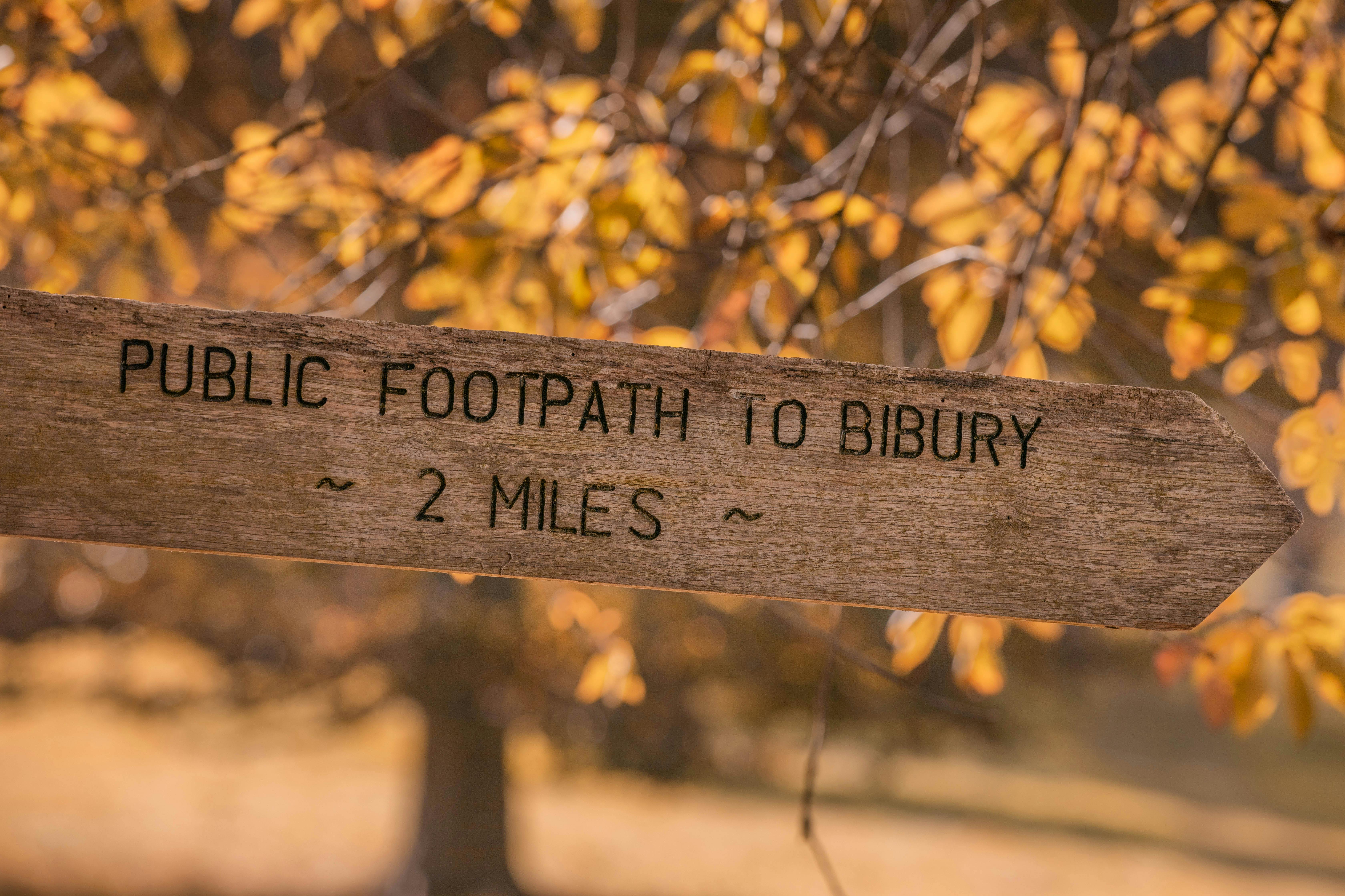 生活：策進會劍潭山步道健行淨山 與港澳朋友共享山林之美