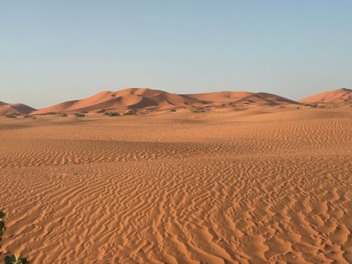 Free Vast desert landscape with rolling sand dunes under a clear blue sky. Stock Photo