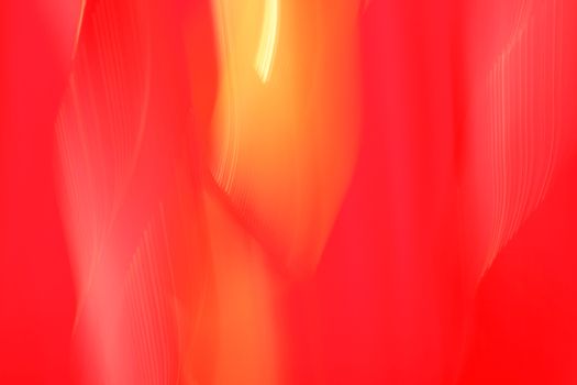 Dynamic abstract image showcasing swirling red and orange hues in motion.
