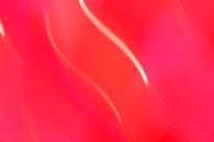 Abstract Red and Pink Waves Art in Motion
