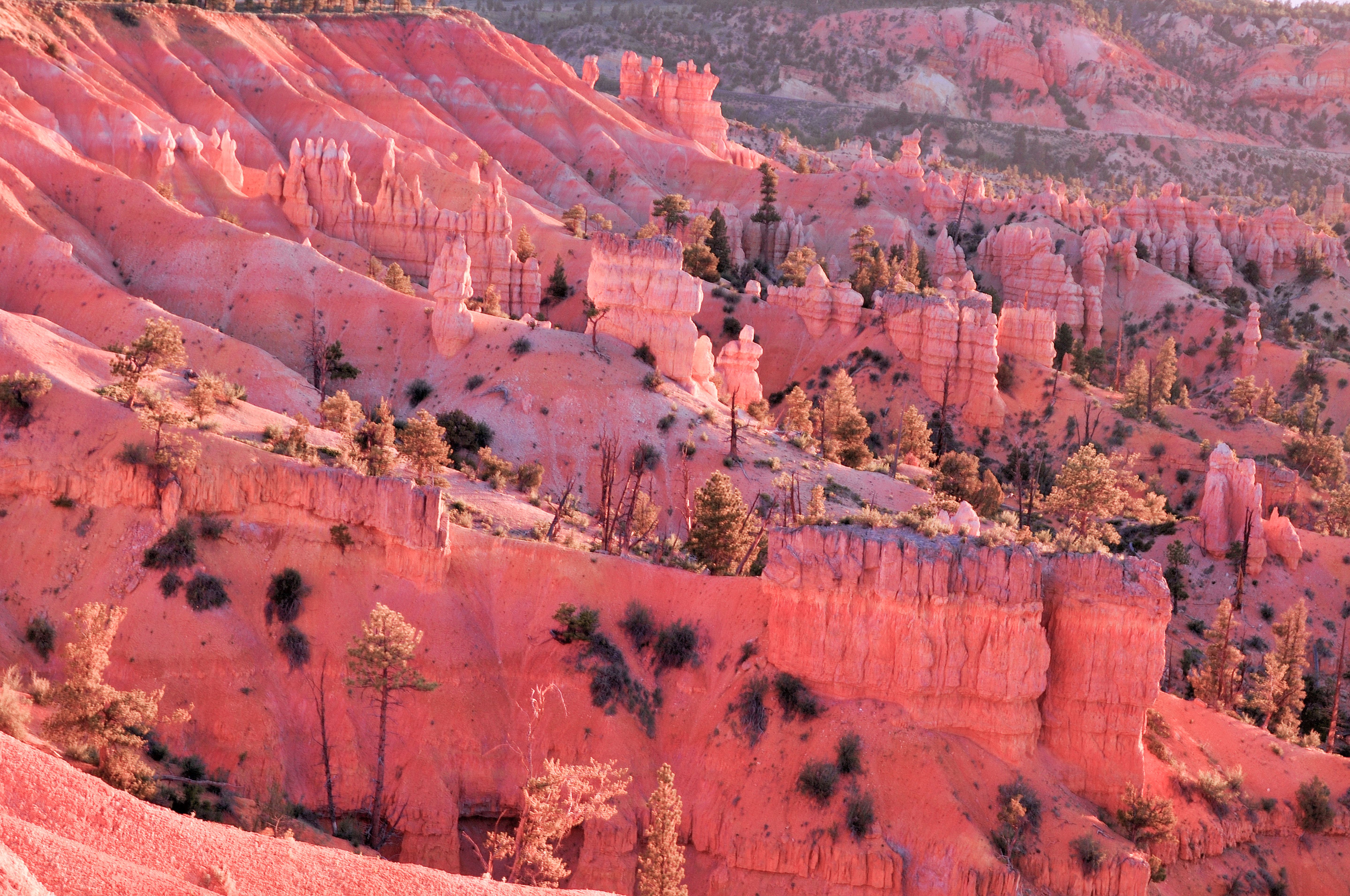 Rim Trail · Sunrise to Sunset Point