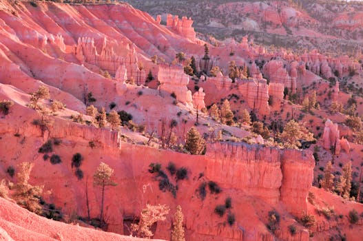 Stunning sunrise over Bryce Canyon's hoodoos showcasing vibrant, unique rock formations in Utah, USA.