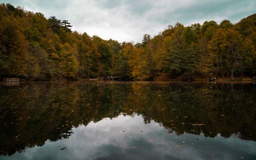 Free Capture the tranquility of a reflective lake amidst vibrant autumn foliage in Bolu, Türkiye. Stock Photo