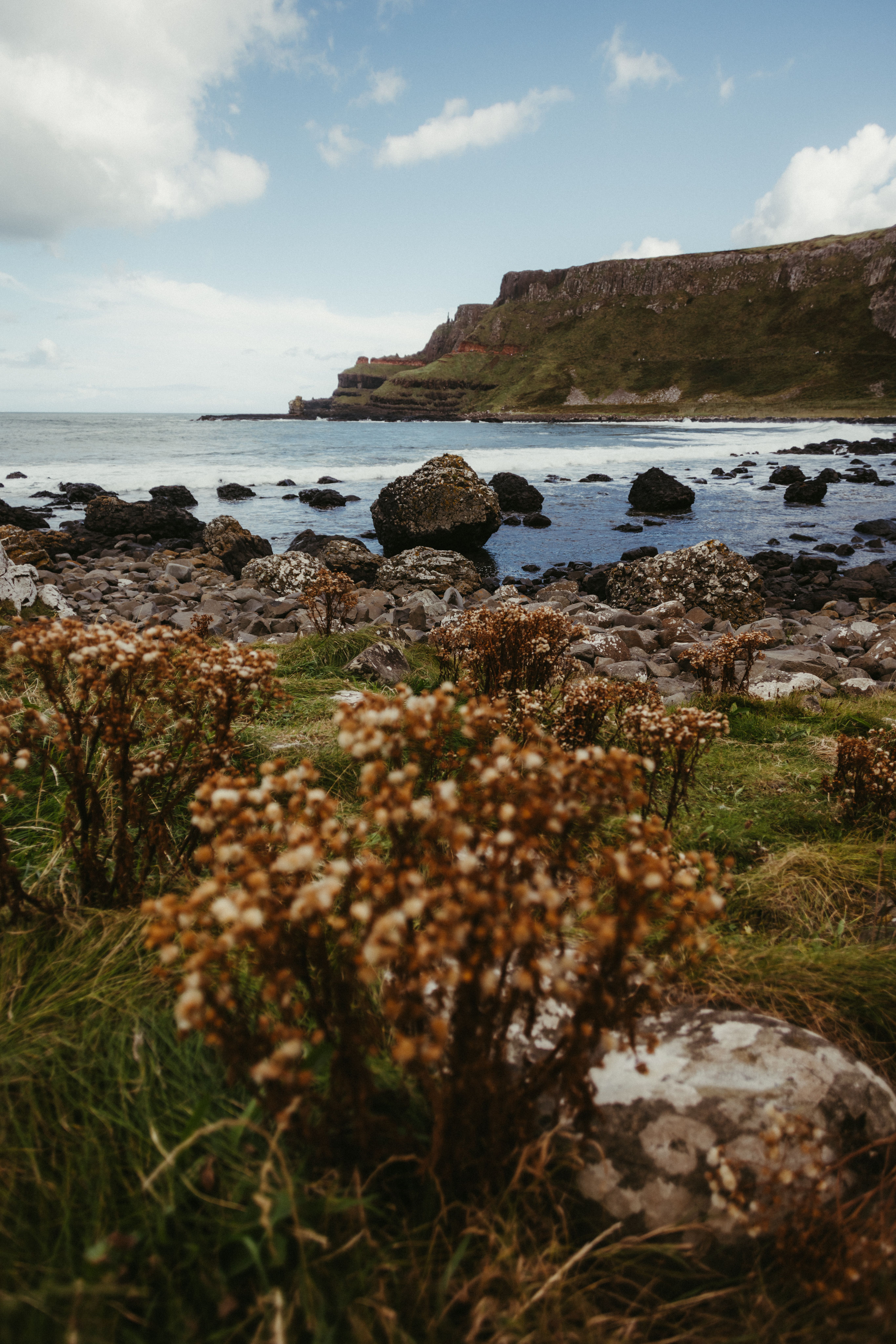 Scenic Coastal Landscape in Northern Ireland · Free Stock Photo