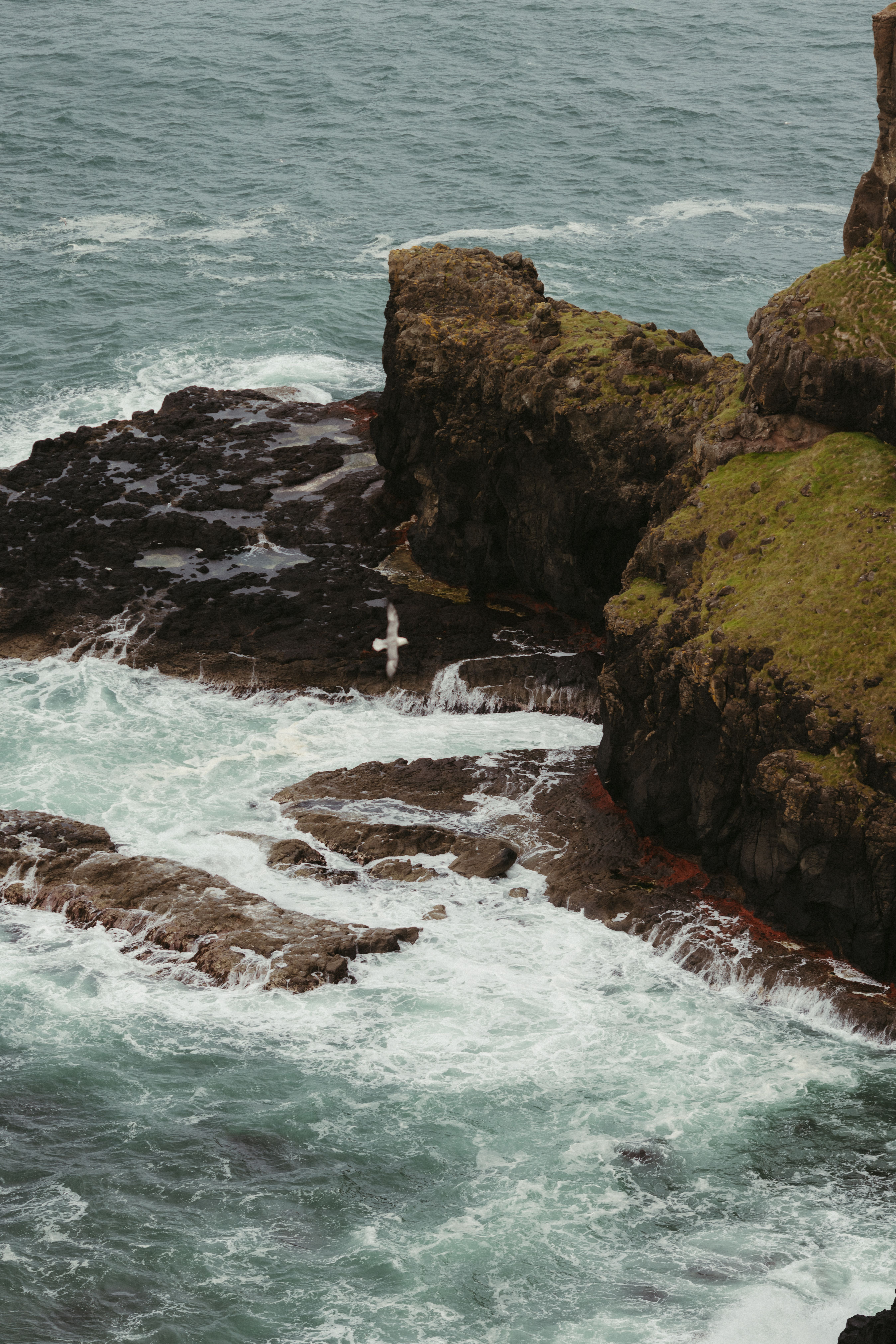 Dramatic Coastal Cliffs in Northern Ireland · Free Stock Photo