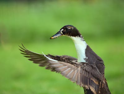 Ass Spreading Photos, Download The BEST Free Ass Spreading Stock Photos