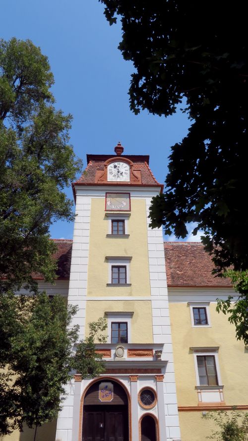 Free View of a historic European tower with a clock, framed by trees under blue sky. Stock Photo