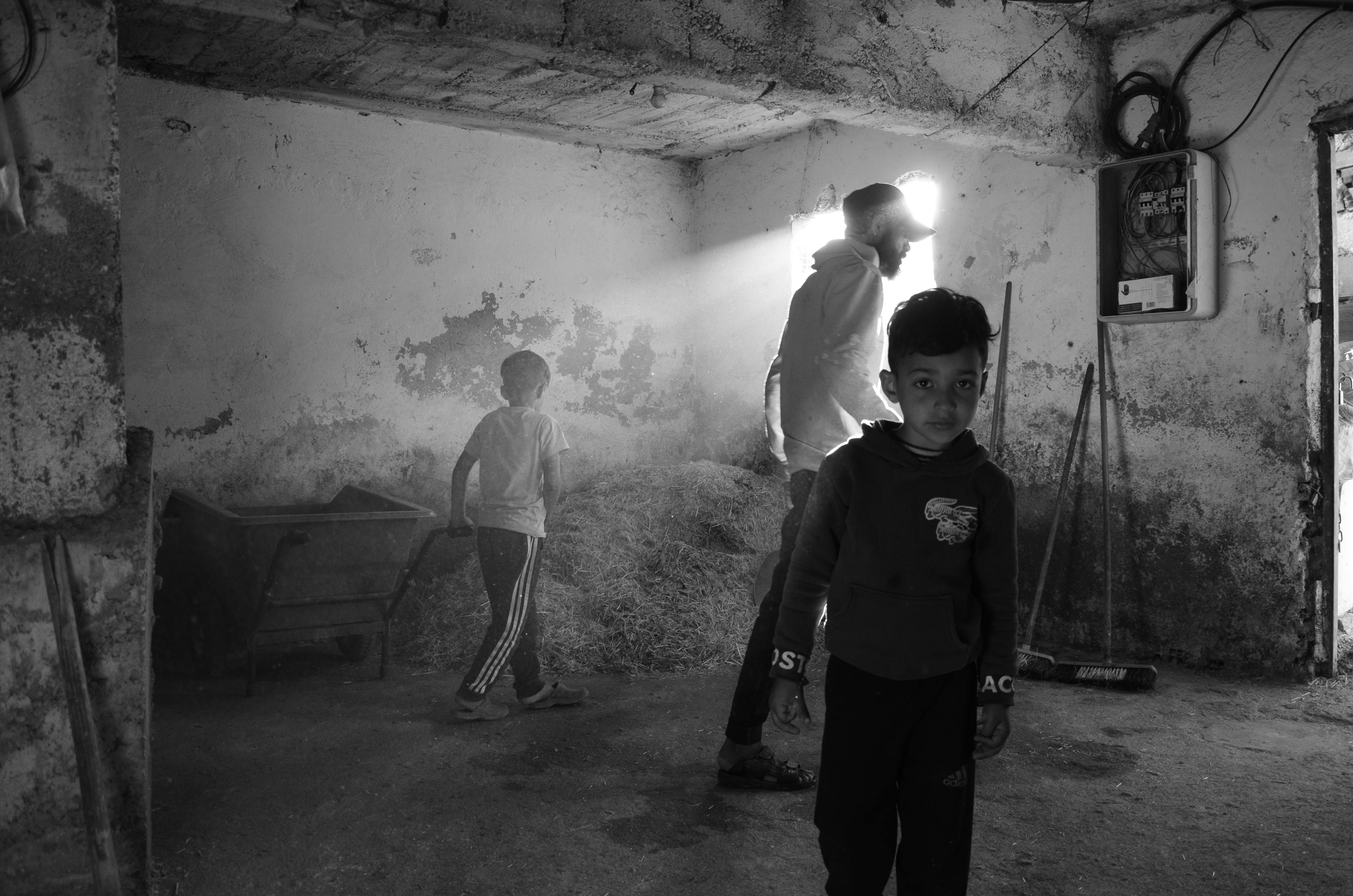 生活：好萊塢明星孩子大公開！私照曝光引爆粉絲熱議