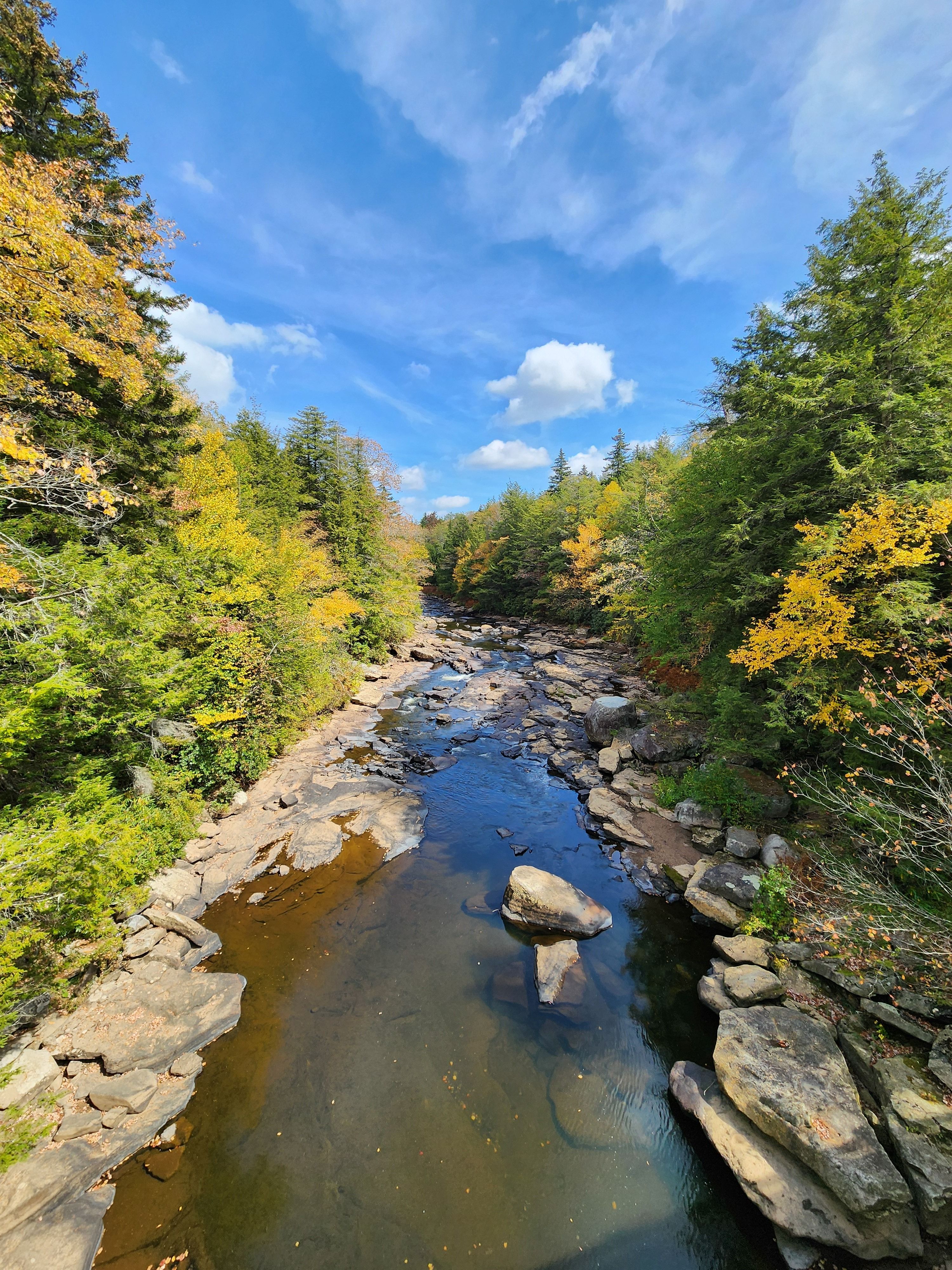 Scenic Autumn River with Vibrant Foliage · Free Stock Photo