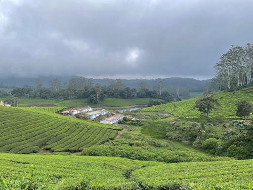 Hill Stations in Tamil Nadu Enjoy Record Clear Views