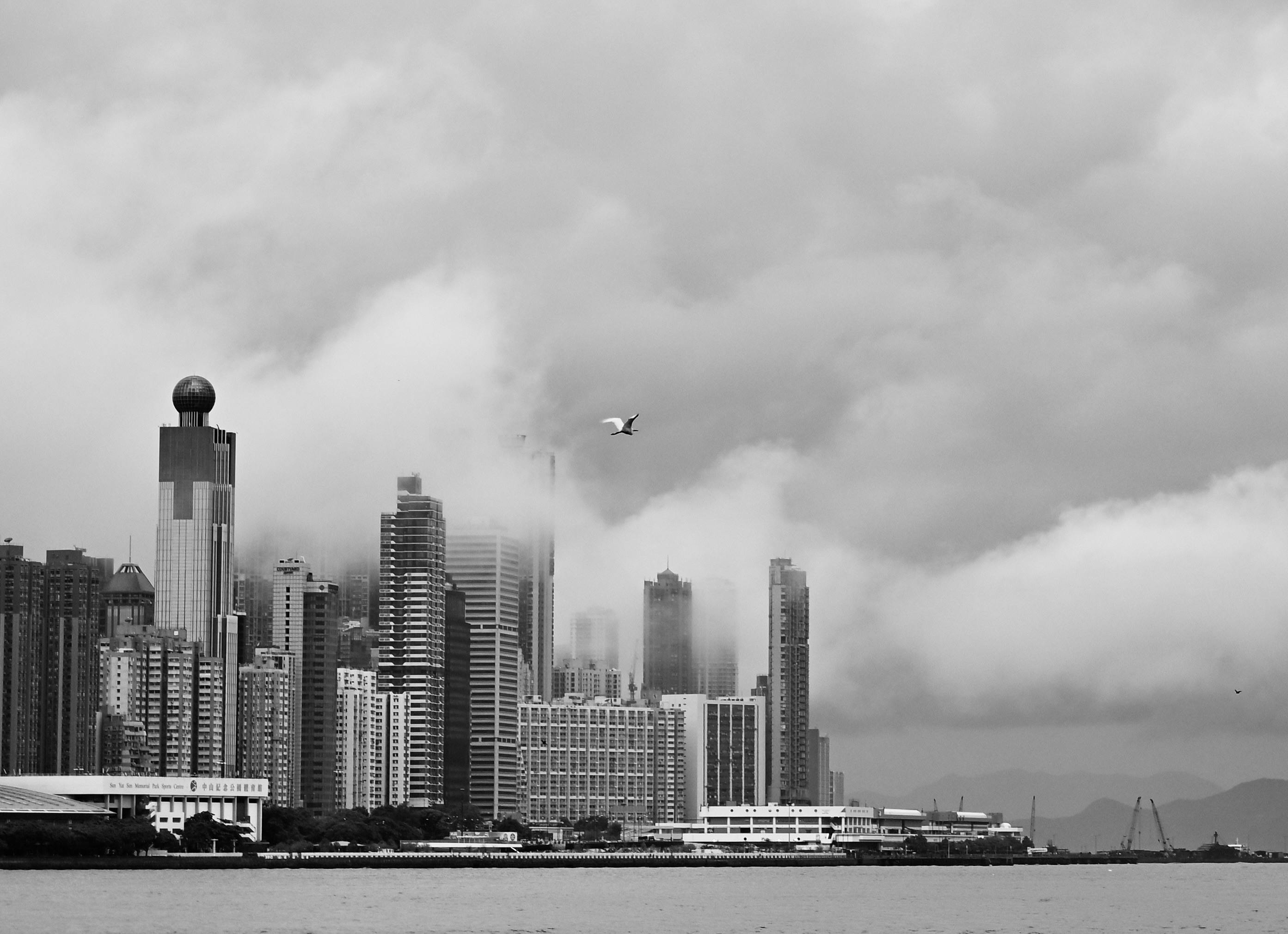 暨大附中學生滑翔機滯空時間研究榮獲國際科學競賽第二名