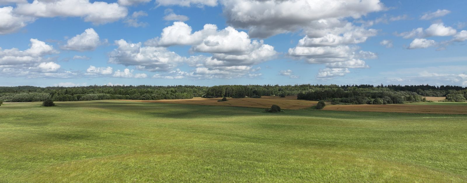 Scenic view of grassy fields and blue sky with clouds in Estonia.