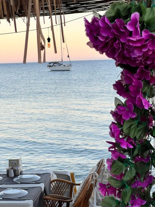 Free datça Stock Photo