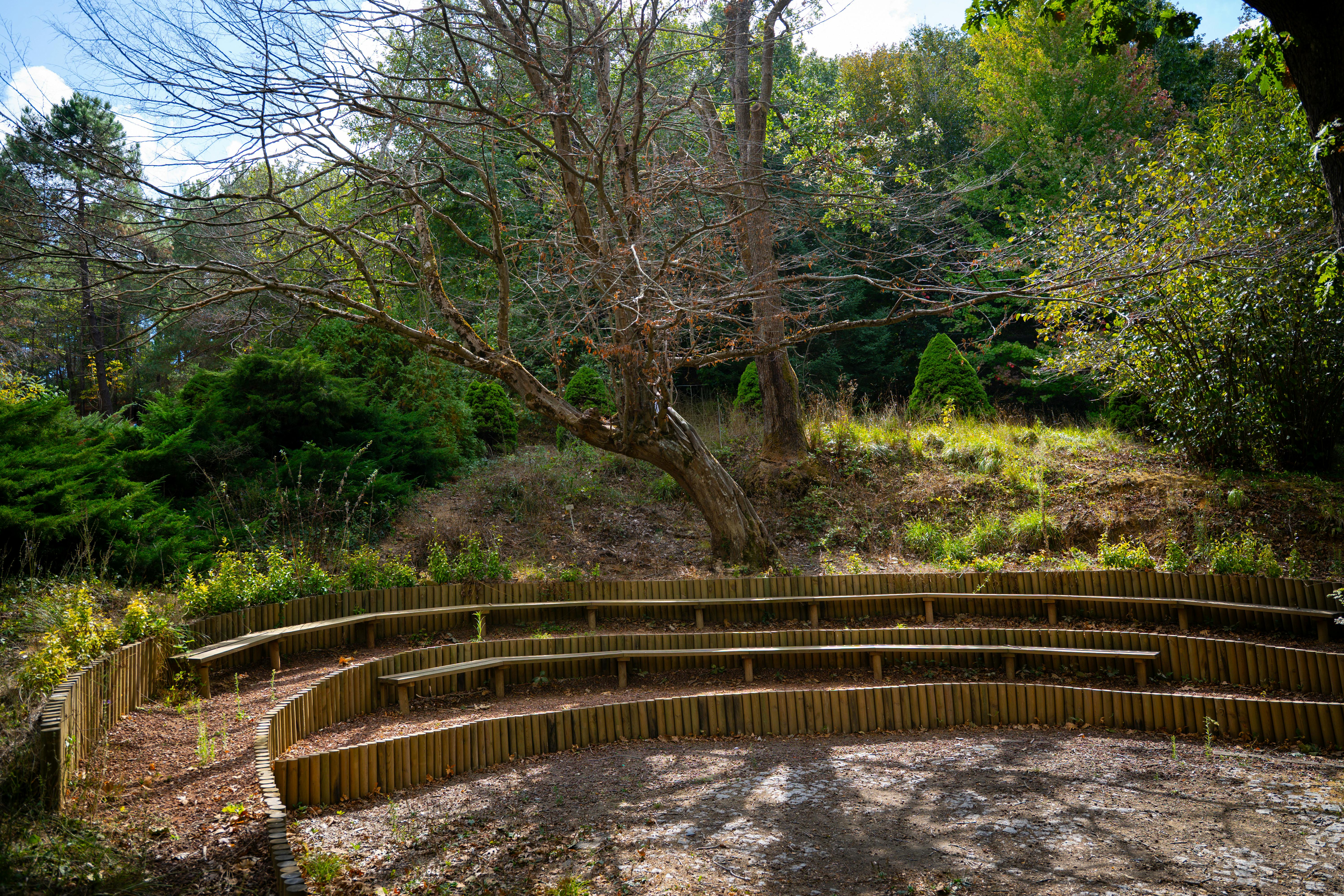 Understanding Glacier Retreat and Its Effects