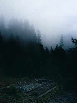 Gloomy forest scene with mist, trees, river, and an industrial facility below.