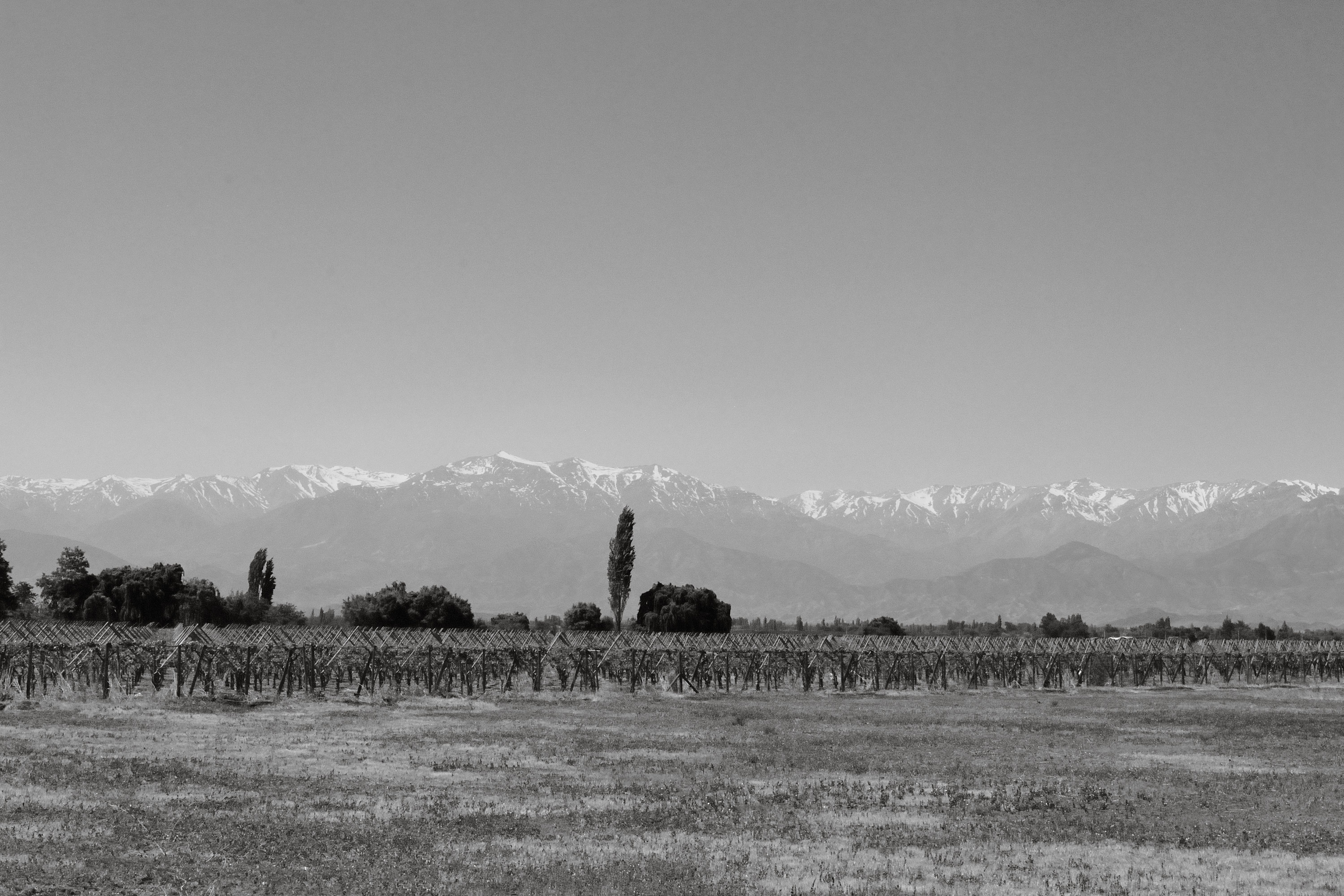 wine tasting south america