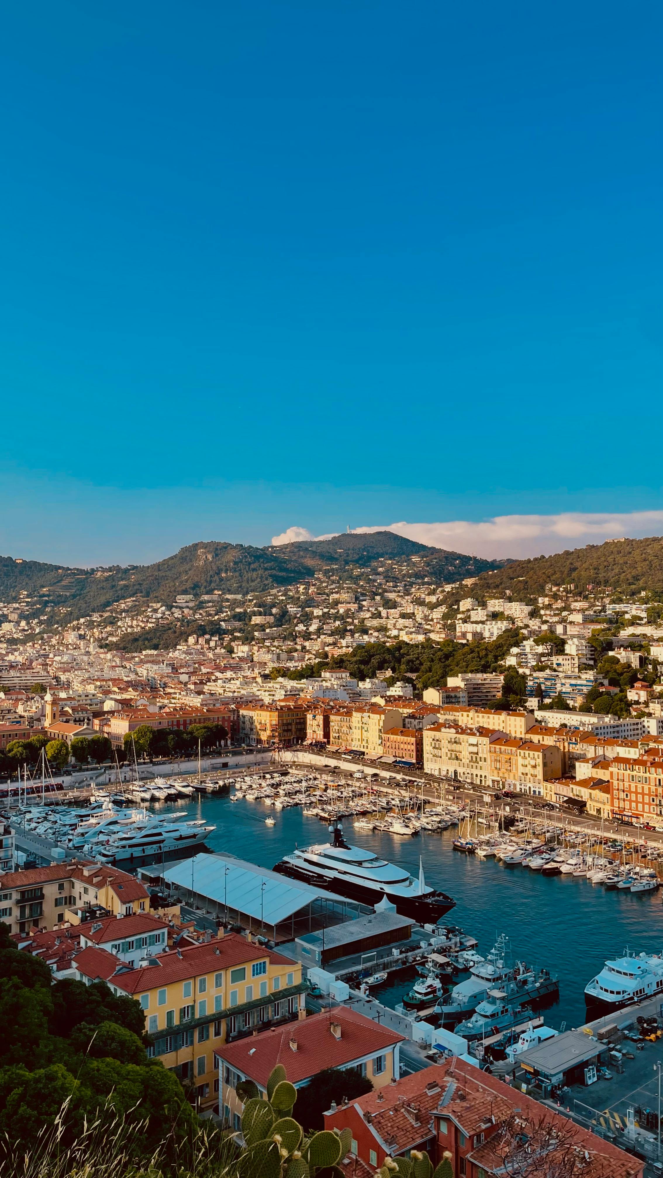 Nice Big Boobs Photos, Download The BEST Free Nice Big Boobs Stock