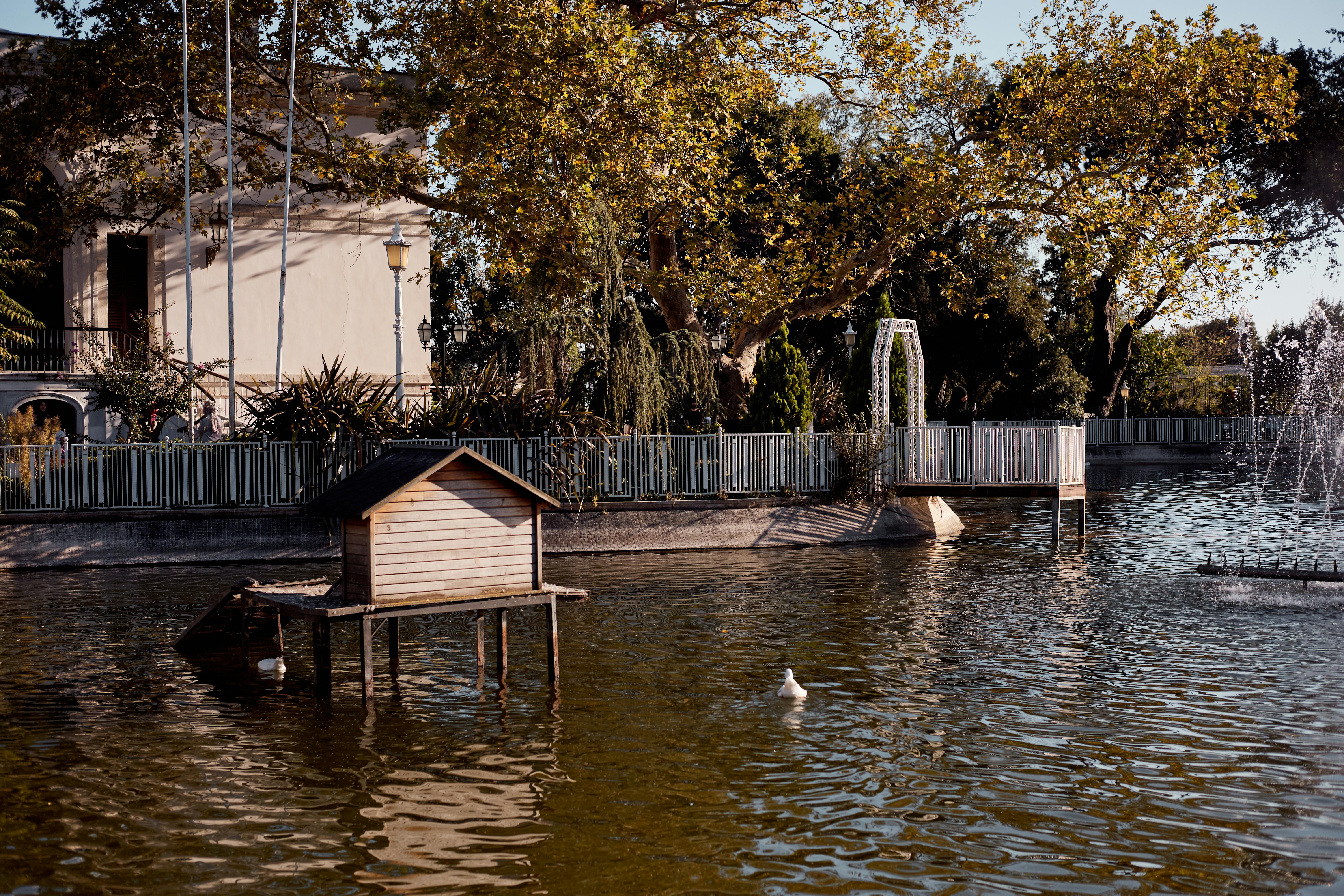 Next-Gen Security Measures to Guard Against Quantum Threats